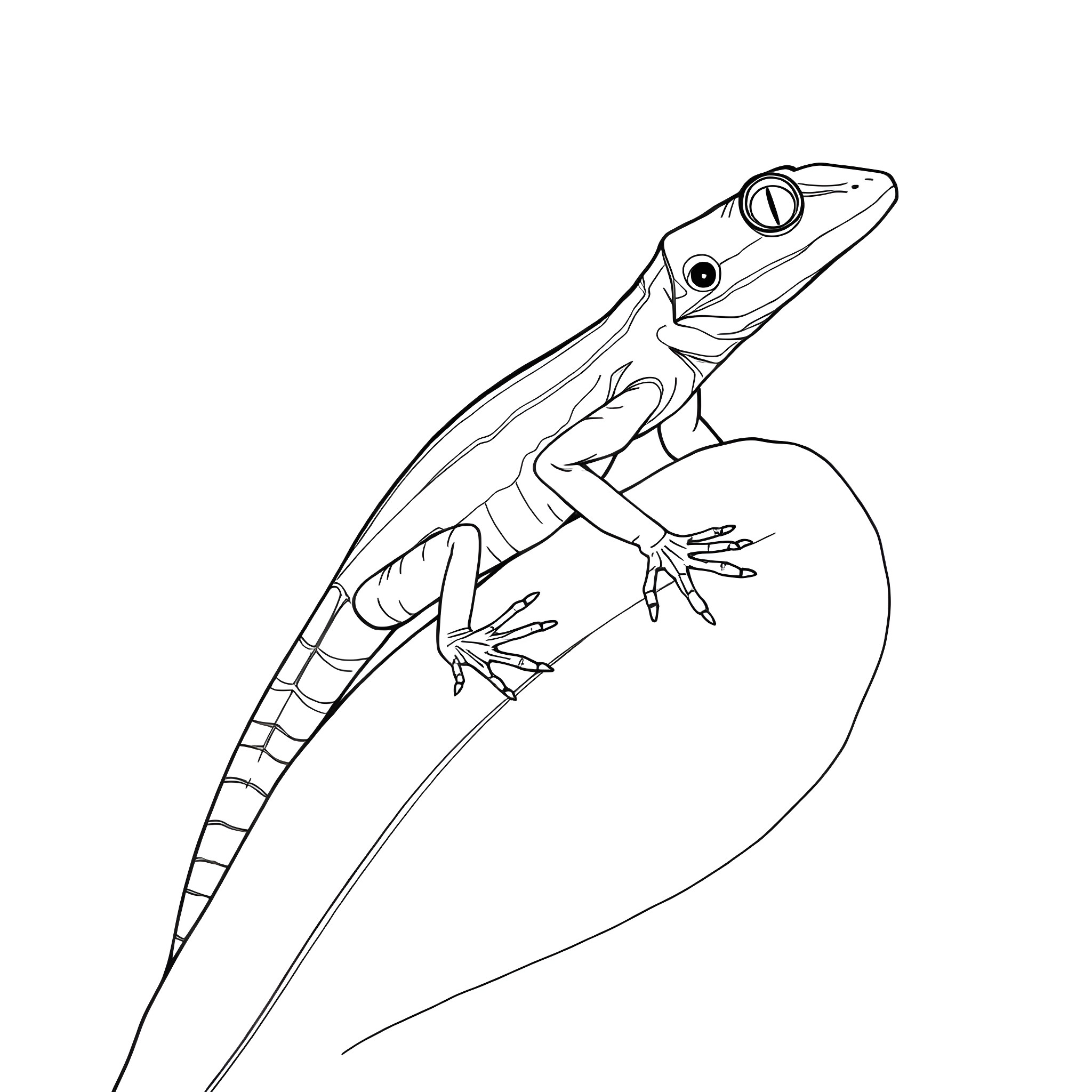 Emerald Tree Skink exploring leaf Coloring Page (free black-and-white line drawing printable PDF for all, from beginners to advanced learners, including children, teens, adults, and seniors)