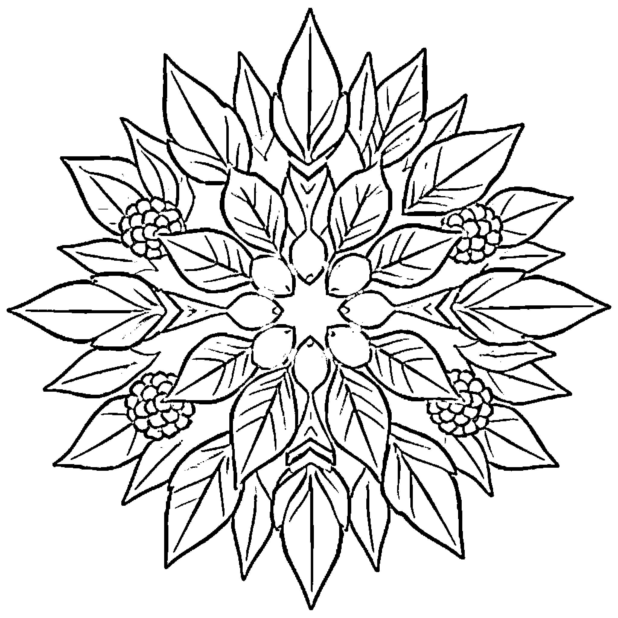 Mandala of intricate floral patterns Coloring Page (free black-and-white line drawing printable PDF for all, from beginners to advanced learners, including children, teens, adults, and seniors)