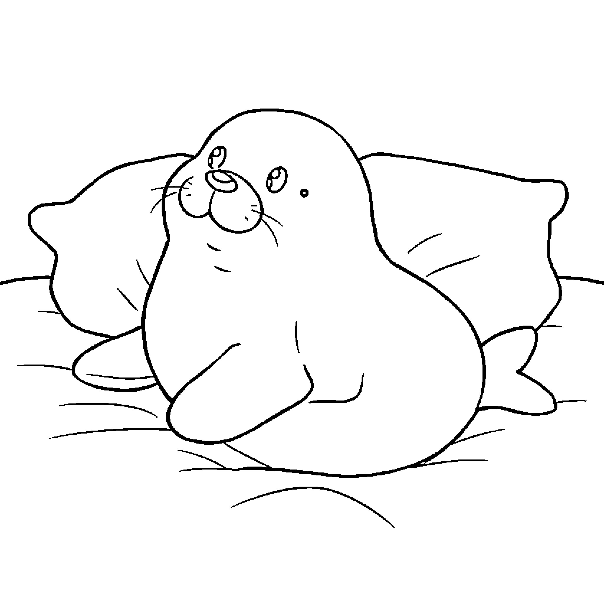 Seal relaxing on the rocks Coloring Page (free black-and-white line drawing printable PDF for all, from beginners to advanced learners, including children, teens, adults, and seniors)