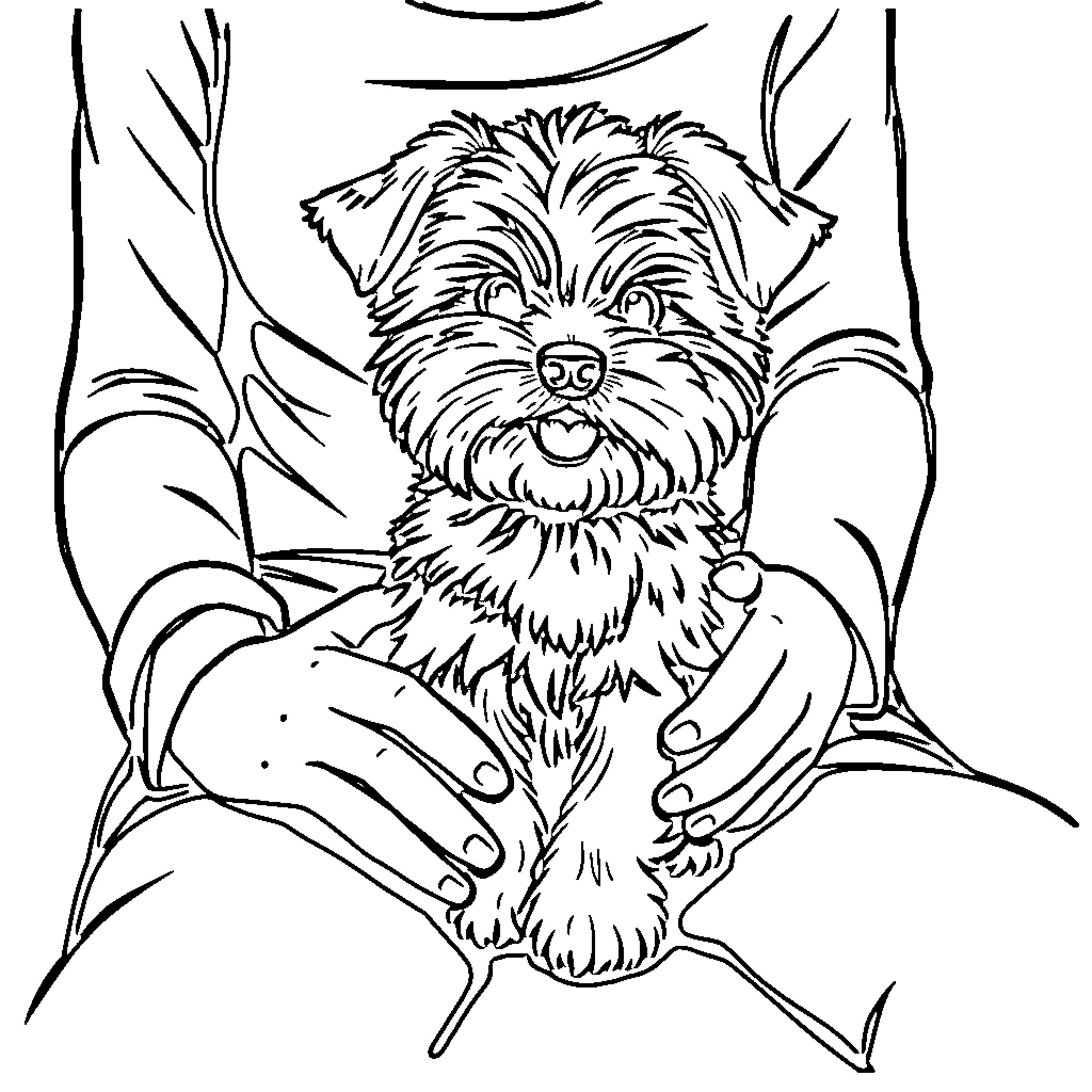 Maltese dog lounging on the furniture Coloring Page (free black-and-white line drawing printable PDF for all, from beginners to advanced learners, including children, teens, adults, and seniors)