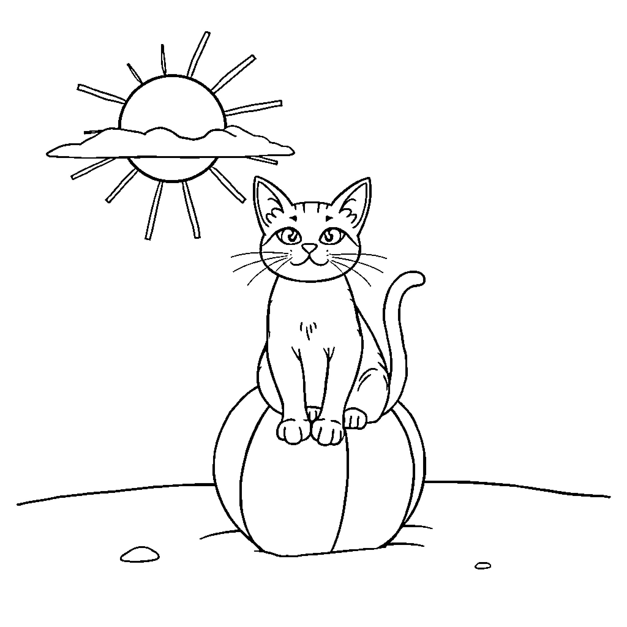 Cat sitting on pumpkin under sunny sky Coloring Page (free black-and-white line drawing printable PDF for all, from beginners to advanced learners, including children, teens, adults, and seniors)