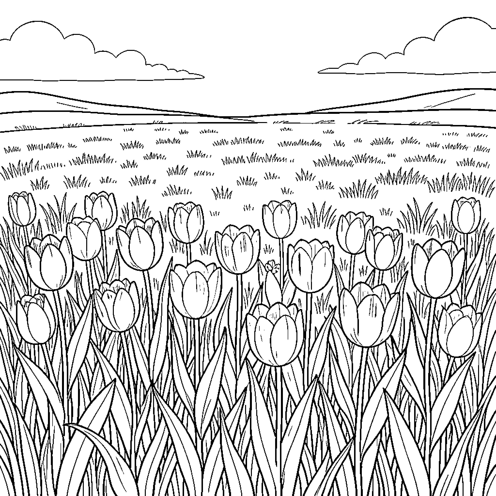Tulip Field Blossoming Beautifully in the Countryside Coloring Page (free black-and-white line drawing printable PDF for all, from beginners to advanced learners, including children, teens, adults, and seniors)