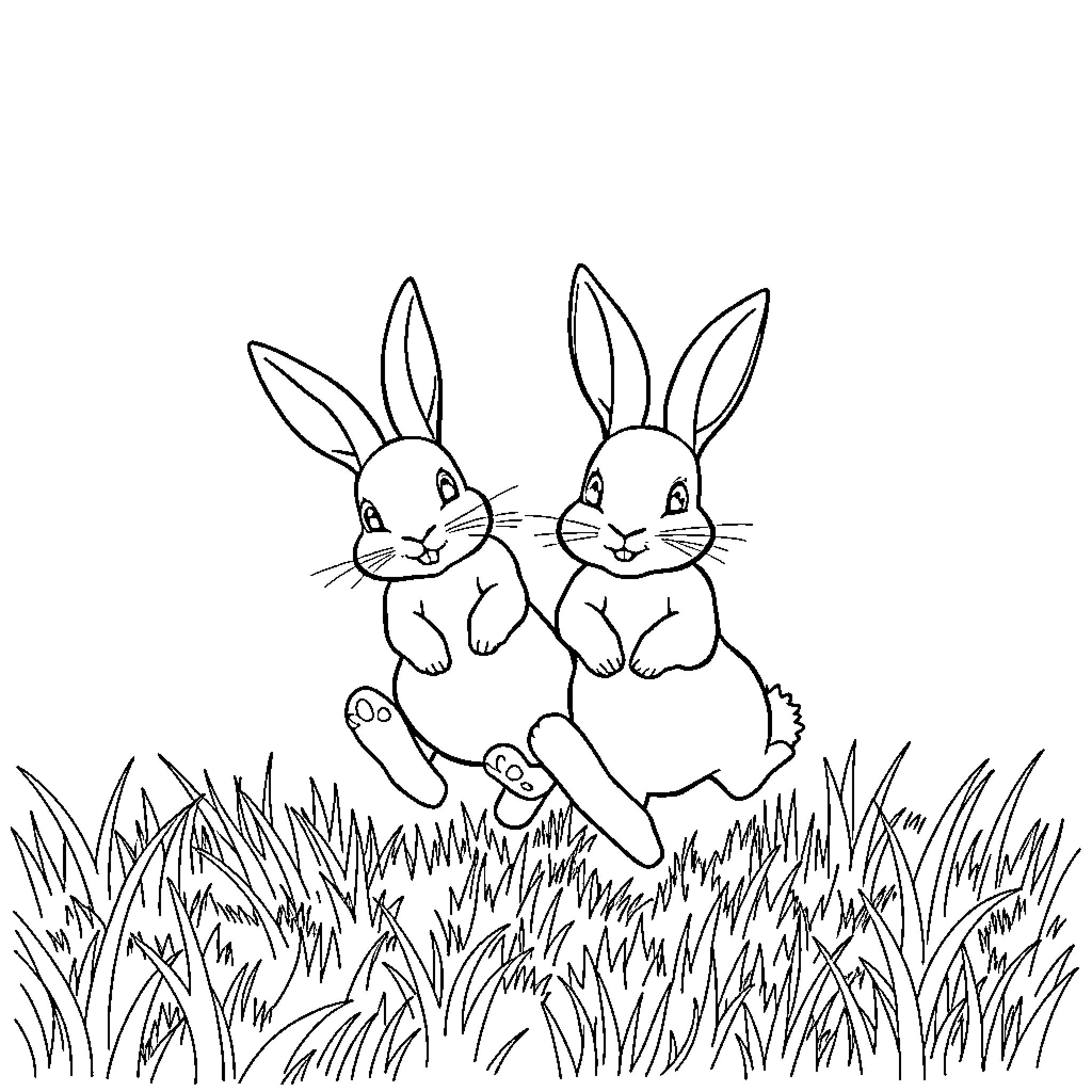 Rabbits hopping happily in the meadow Coloring Page (free black-and-white line drawing printable PDF for all, from beginners to advanced learners, including children, teens, adults, and seniors)