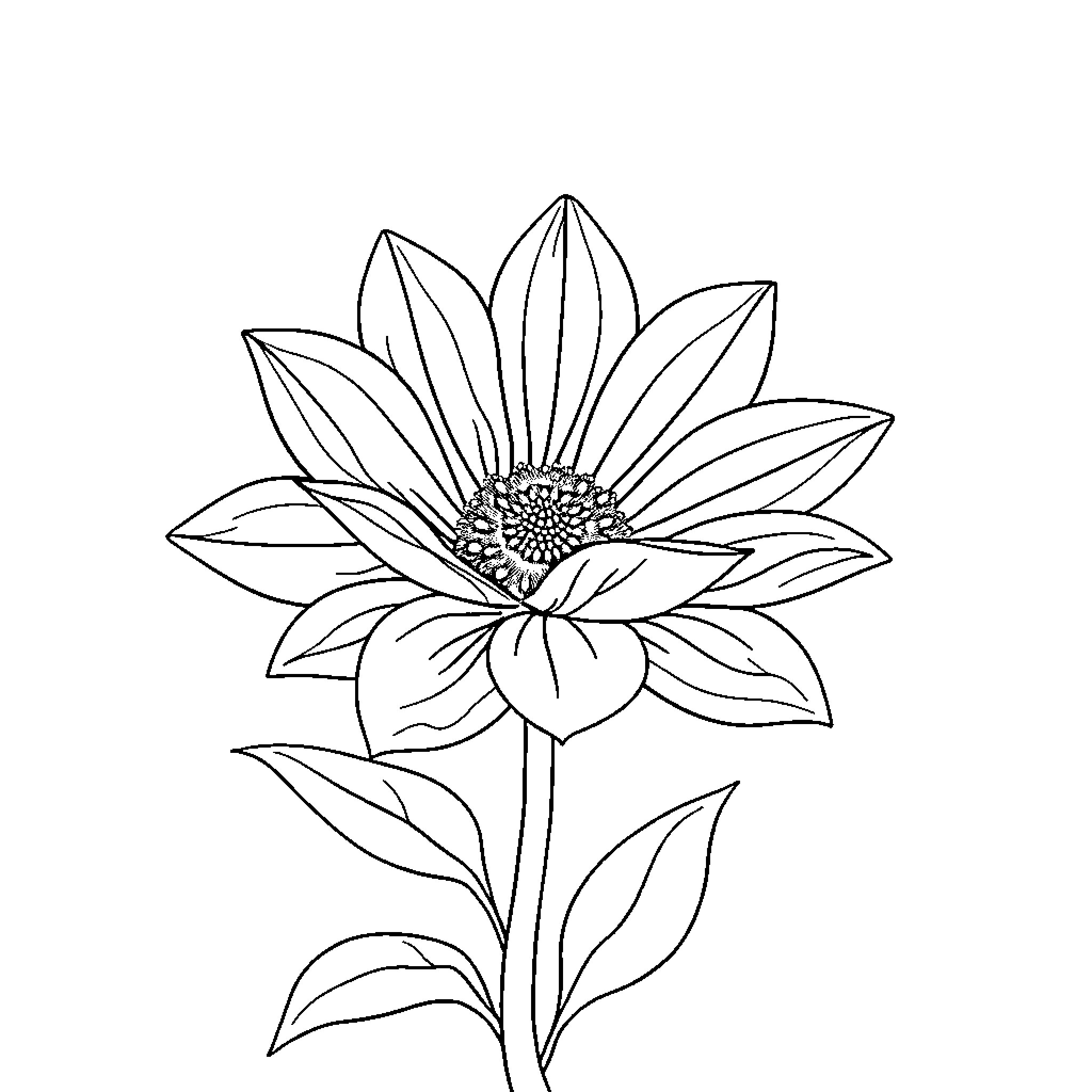 Flower in Bloom Coloring Page (free black-and-white line drawing printable PDF for all, from beginners to advanced learners, including children, teens, adults, and seniors)
