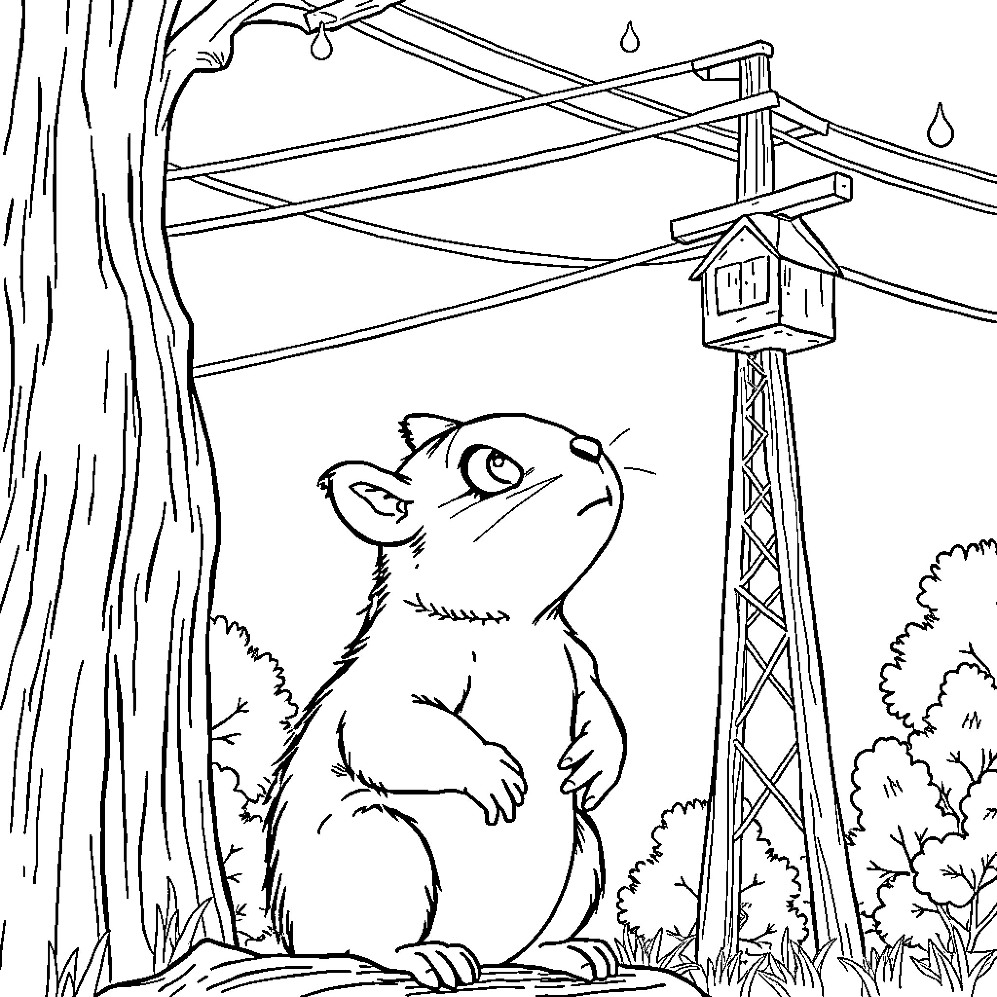 Squirrel gazing at birdhouse in rainy woodland Coloring Page (free black-and-white line drawing printable PDF for all, from beginners to advanced learners, including children, teens, adults, and seniors)