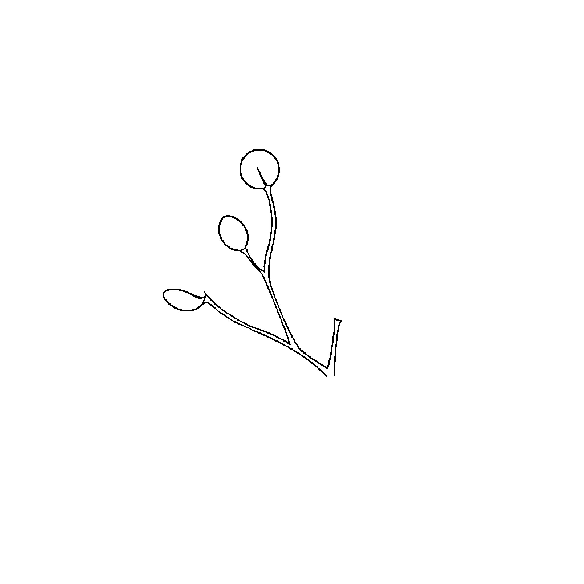 Hermatypic Organic Floral Sketch Coloring Page (free black-and-white line drawing printable PDF for all, from beginners to advanced learners, including children, teens, adults, and seniors)