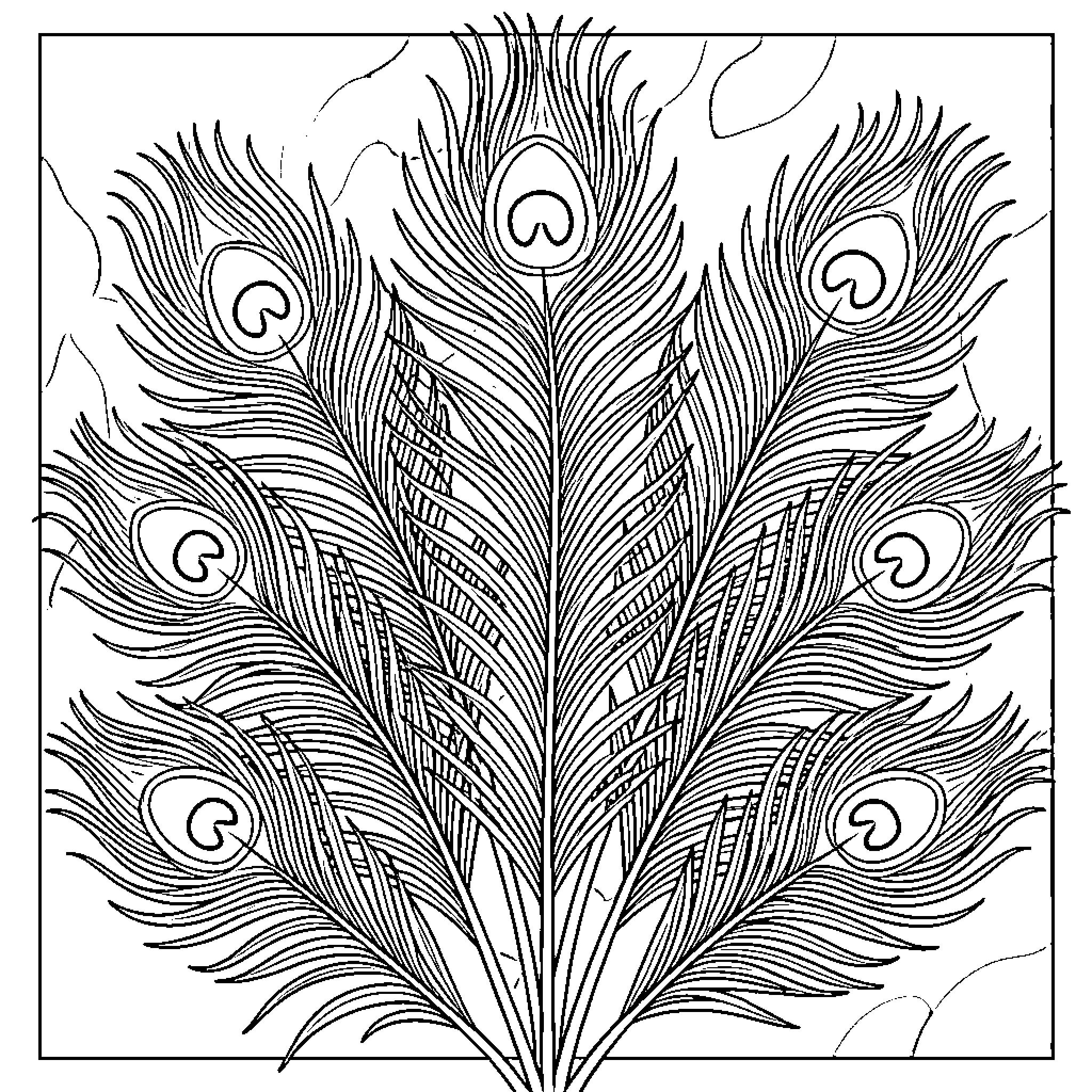 Peacock feathers in artistic display Coloring Page (free black-and-white line drawing printable PDF for all, from beginners to advanced learners, including children, teens, adults, and seniors)