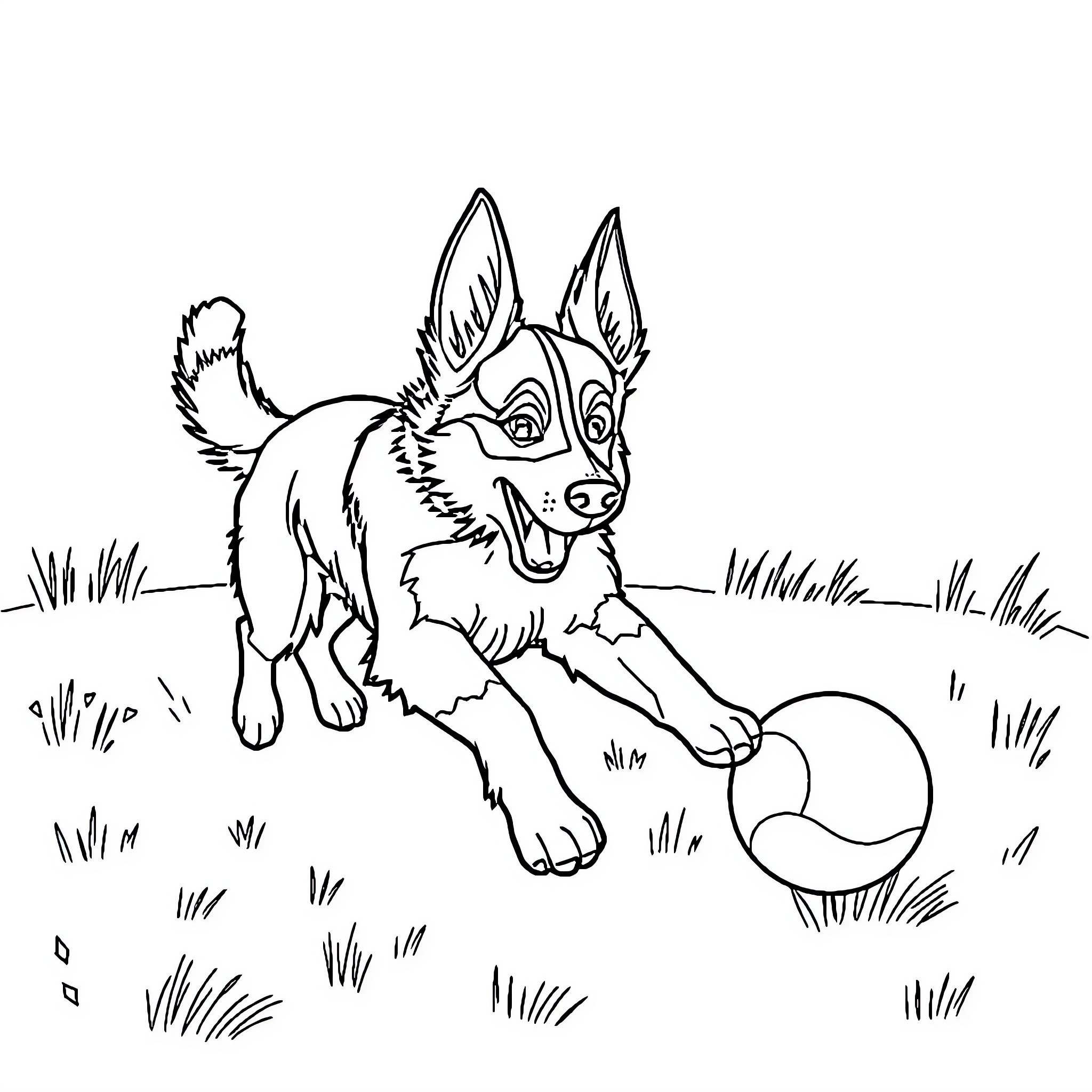 Blue Heeler playing with ball in grassy field Coloring Page (free black-and-white line drawing printable PDF for all, from beginners to advanced learners, including children, teens, adults, and seniors)
