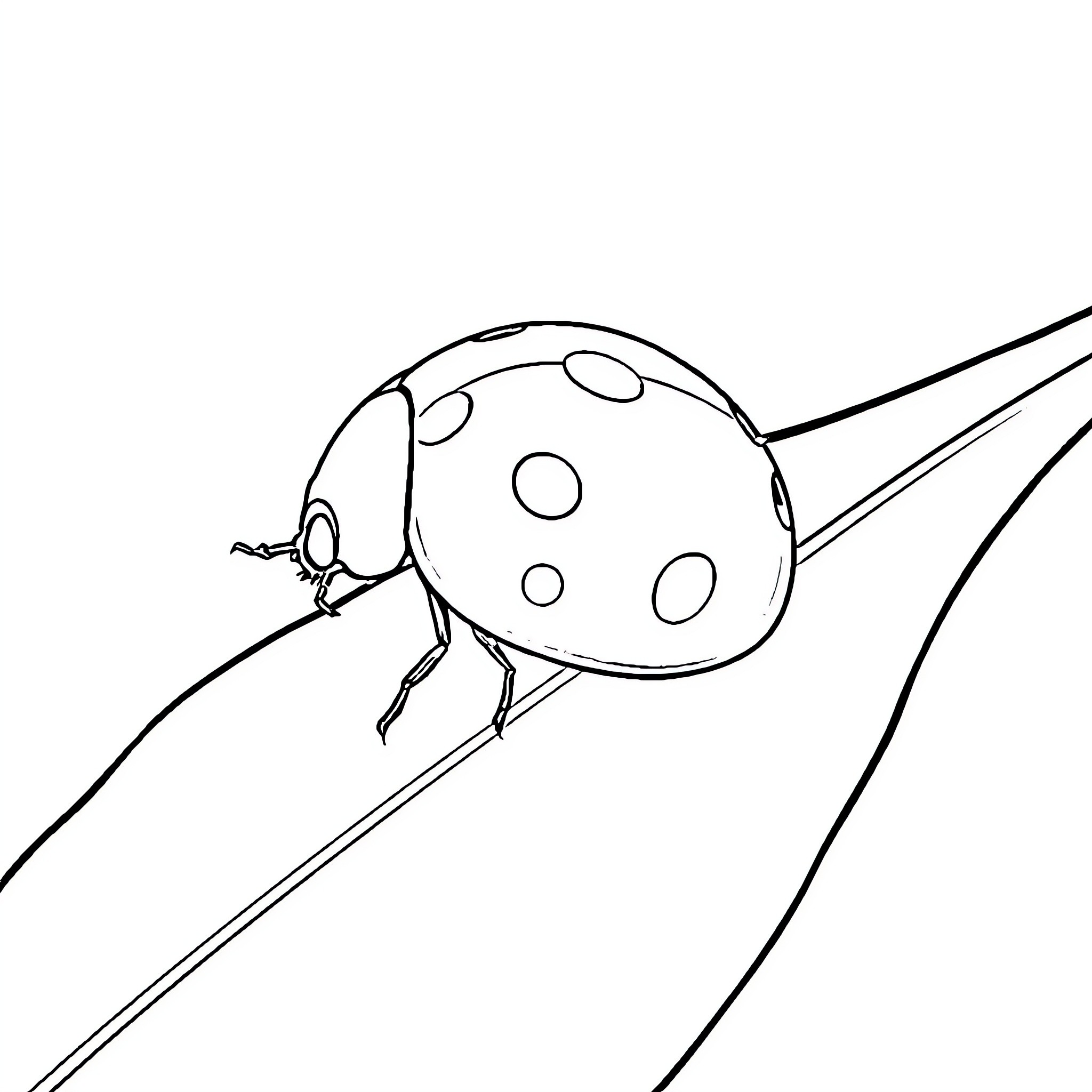 Ladybug crawling on a leaf Coloring Page (free black-and-white line drawing printable PDF for all, from beginners to advanced learners, including children, teens, adults, and seniors)