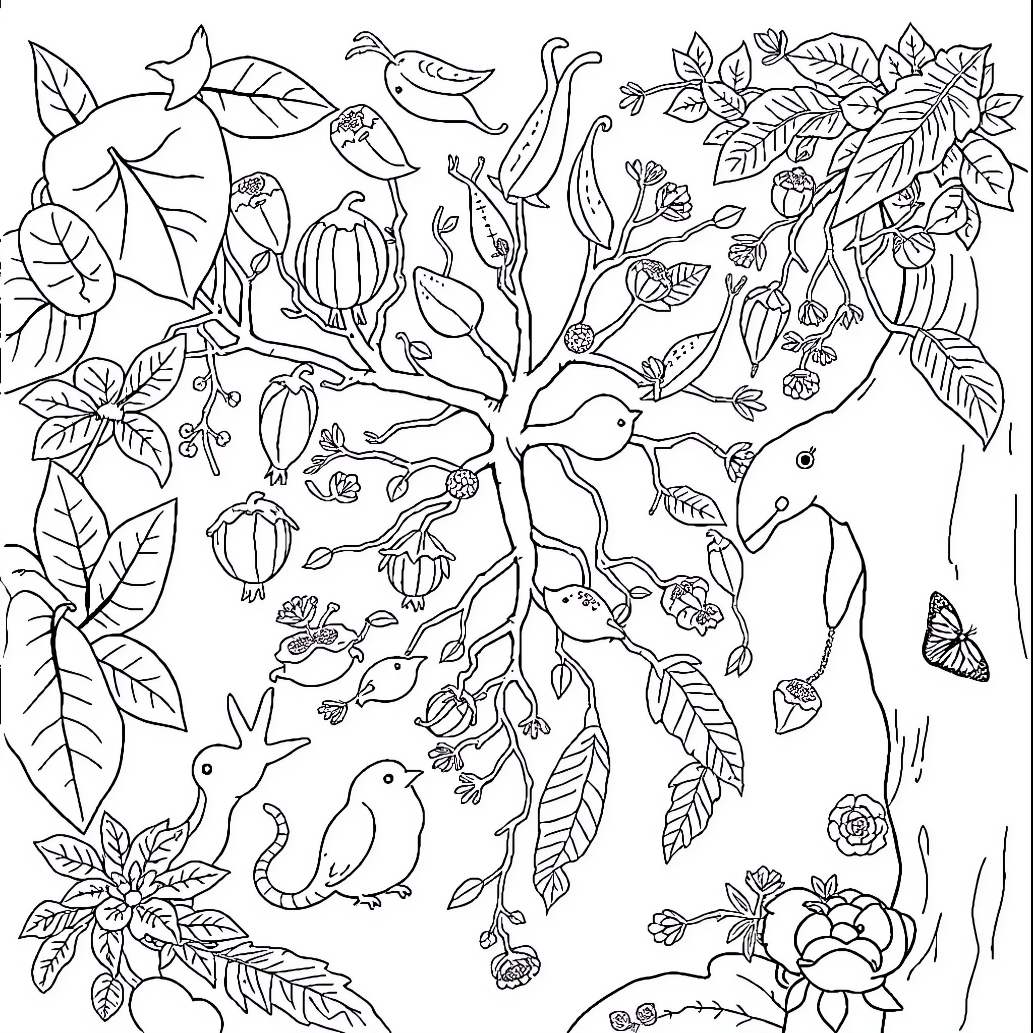 Food Web of Nature's Intricate Connections Coloring Page (free black-and-white line drawing printable PDF for all, from beginners to advanced learners, including children, teens, adults, and seniors)