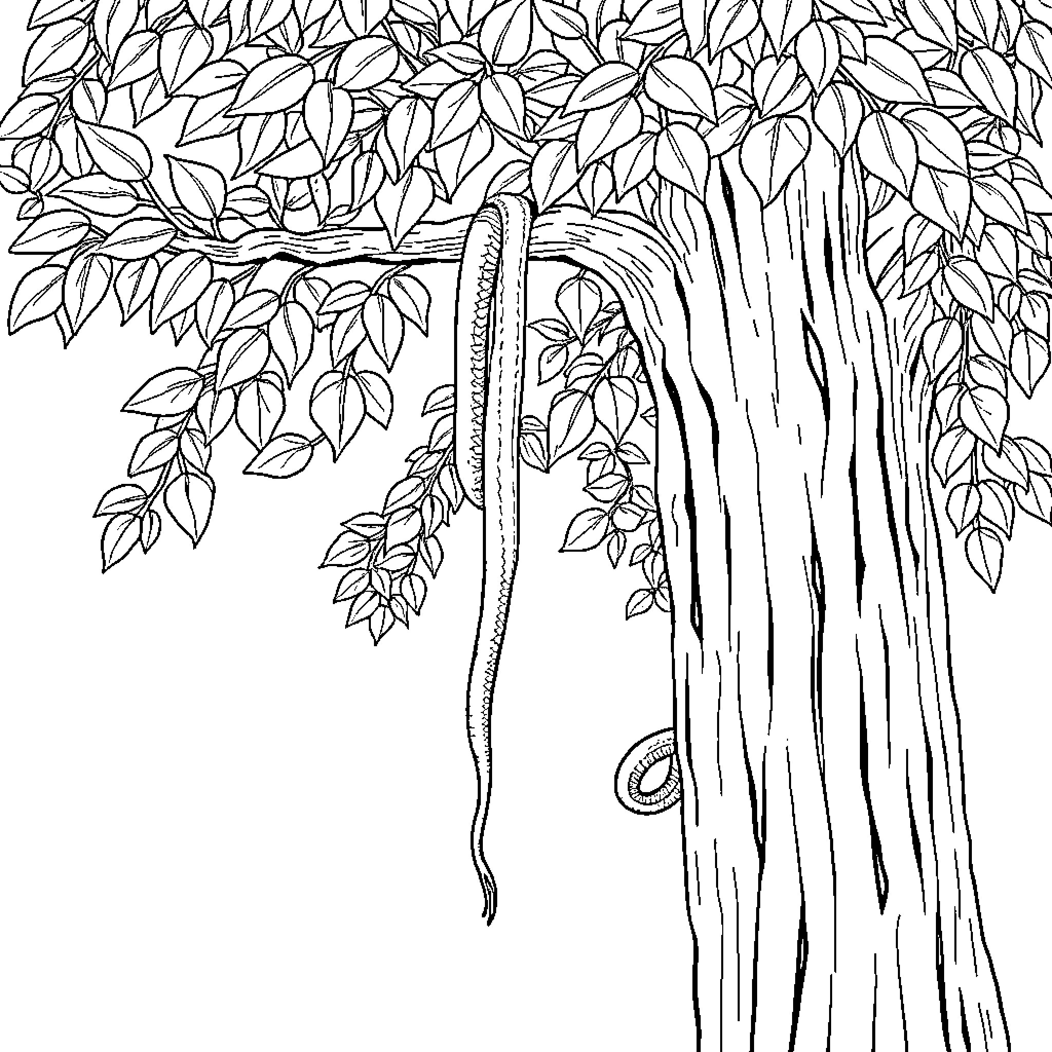 Snake lounging in lush foliage Coloring Page (free black-and-white line drawing printable PDF for all, from beginners to advanced learners, including children, teens, adults, and seniors)