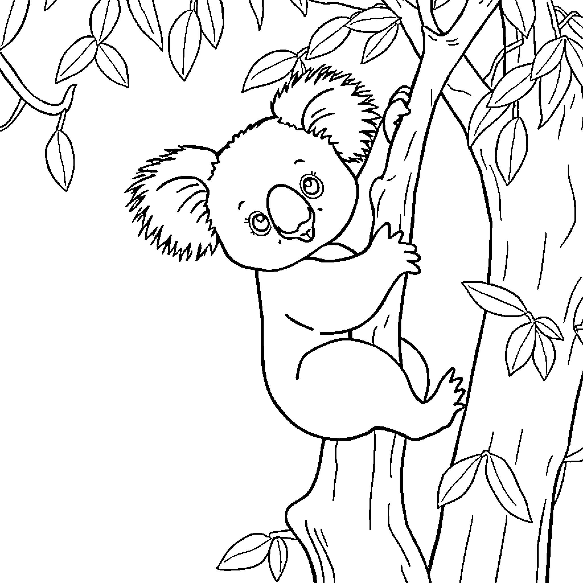 Koala resting peacefully on tree branch Coloring Page (free black-and-white line drawing printable PDF for all, from beginners to advanced learners, including children, teens, adults, and seniors)