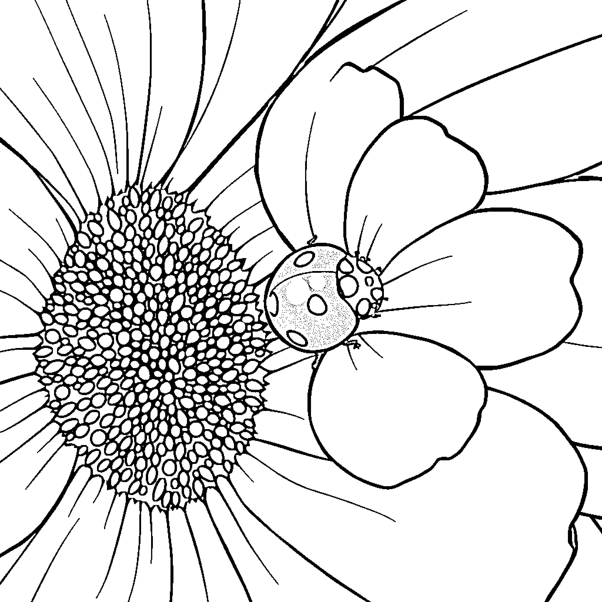 Ladybug exploring a vibrant floral garden Coloring Page (free black-and-white line drawing printable PDF for all, from beginners to advanced learners, including children, teens, adults, and seniors)