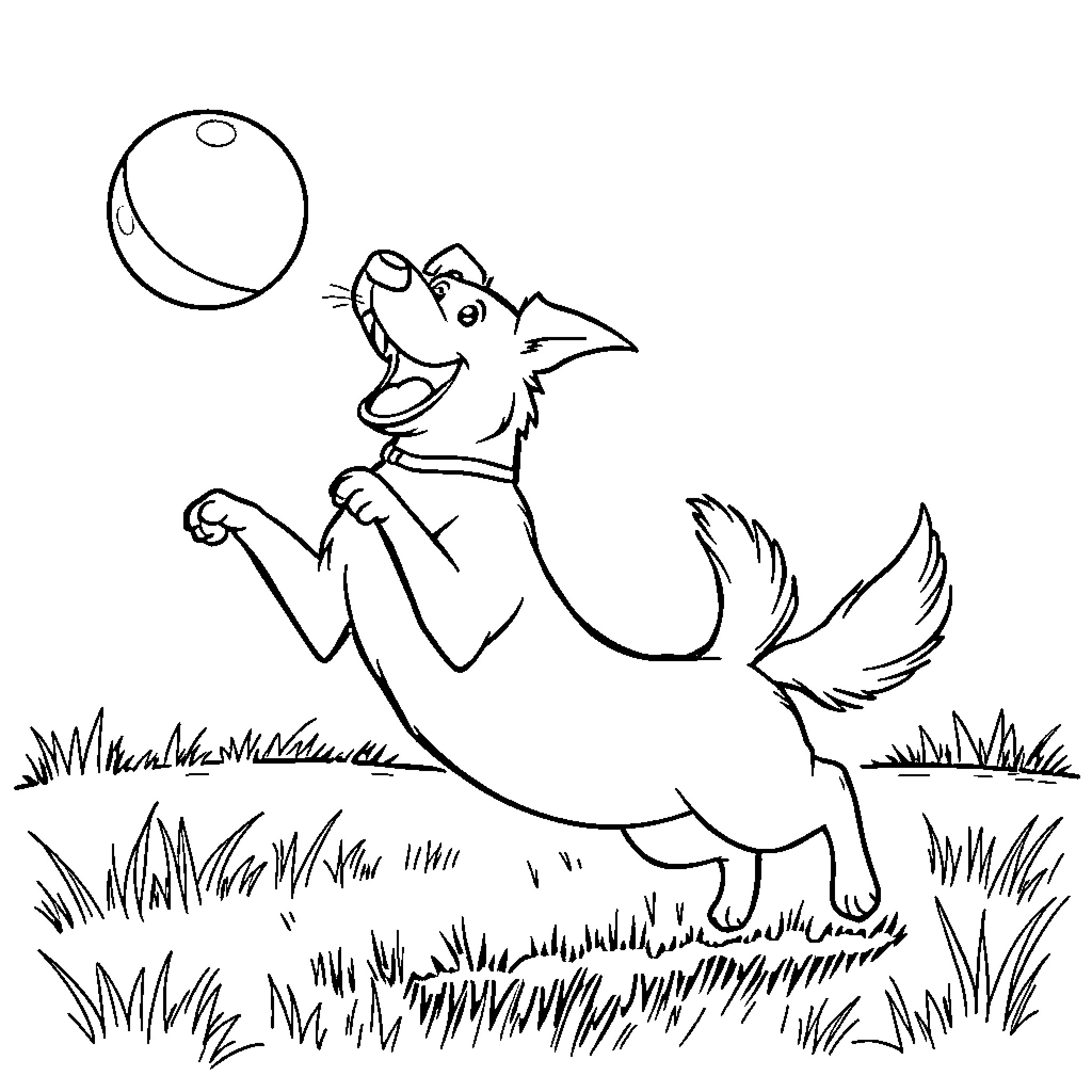 Dog chasing a ball in the park Coloring Page (free black-and-white line drawing printable PDF for all, from beginners to advanced learners, including children, teens, adults, and seniors)