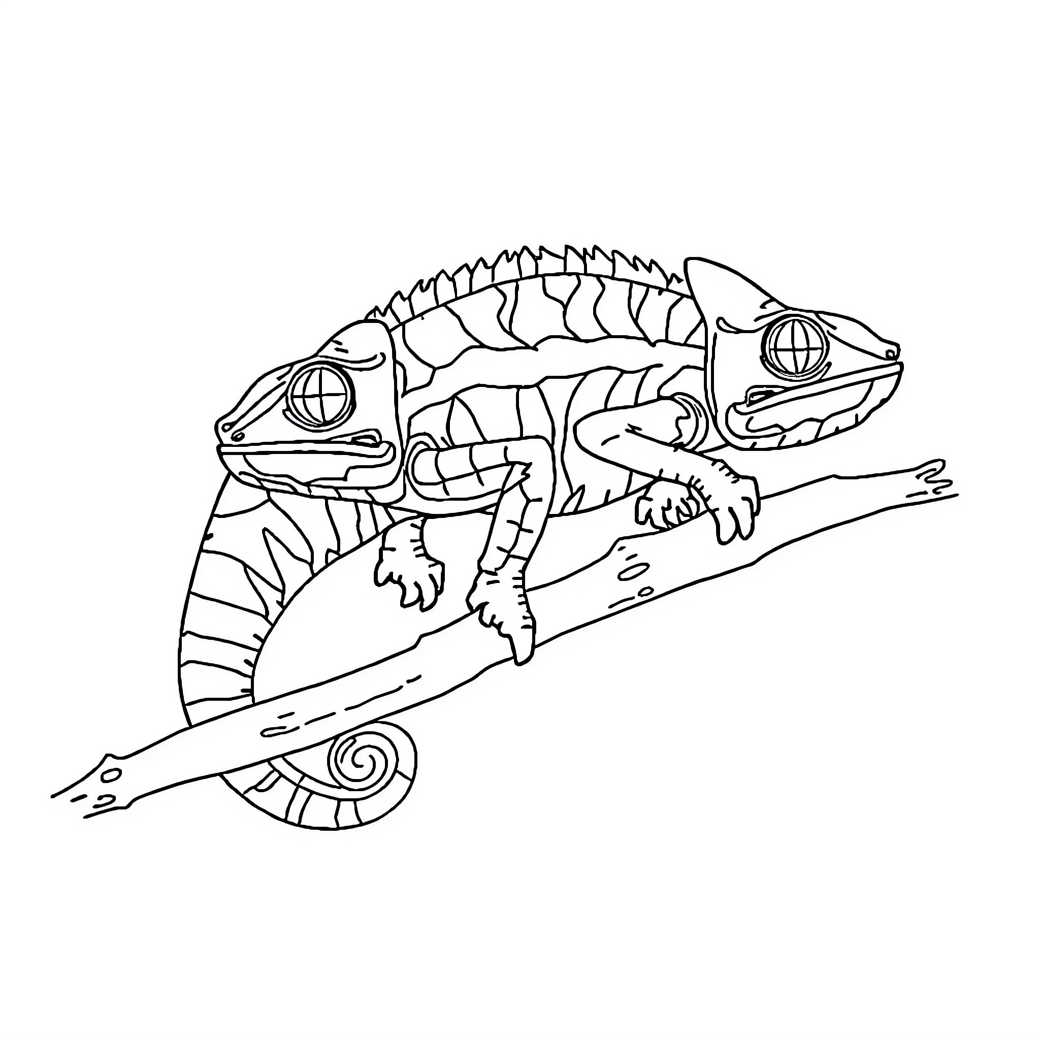 Chameleon climbing on a branch Coloring Page (free black-and-white line drawing printable PDF for all, from beginners to advanced learners, including children, teens, adults, and seniors)