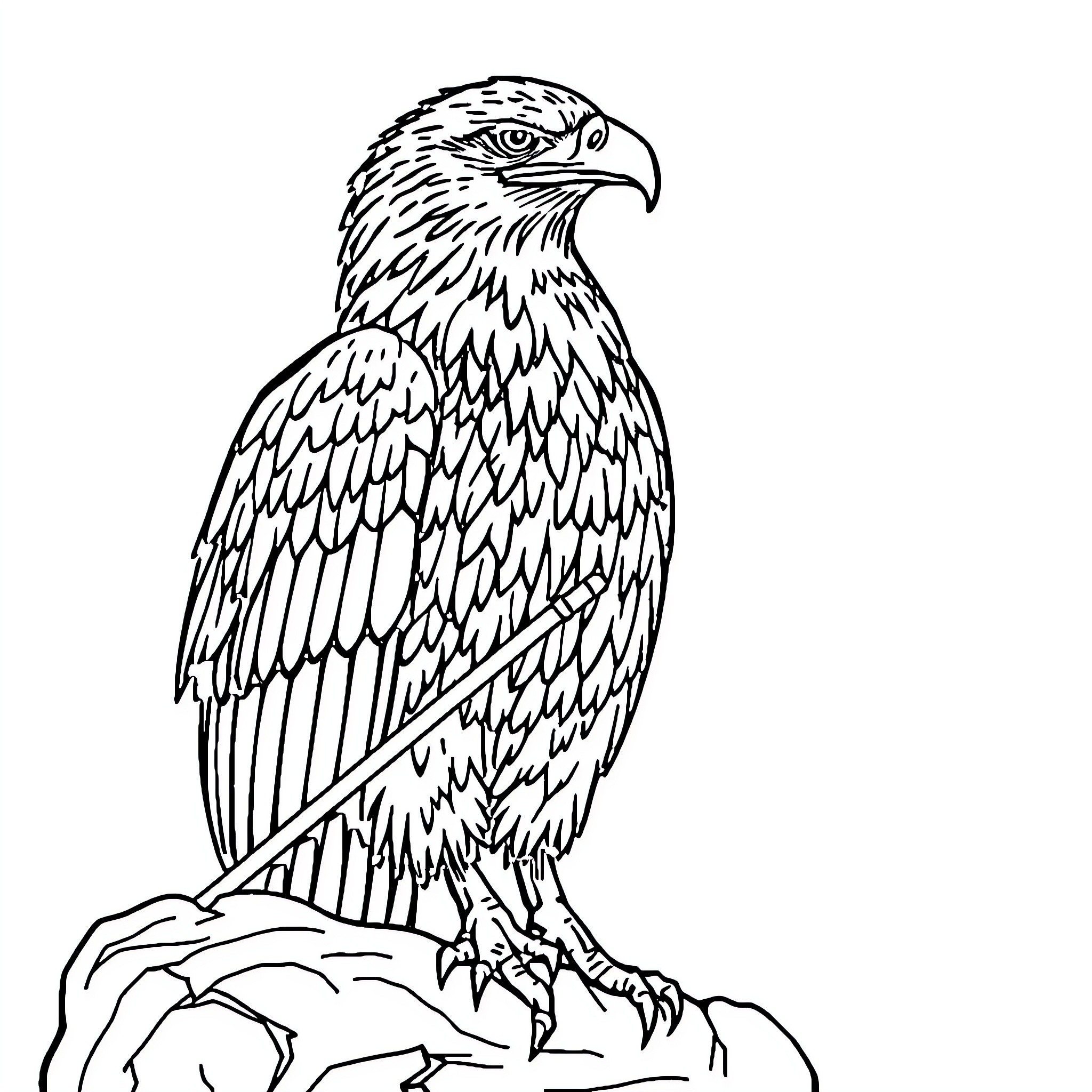 Eagle perched on a rock with outstretched wings Coloring Page (free black-and-white line drawing printable PDF for all, from beginners to advanced learners, including children, teens, adults, and seniors)