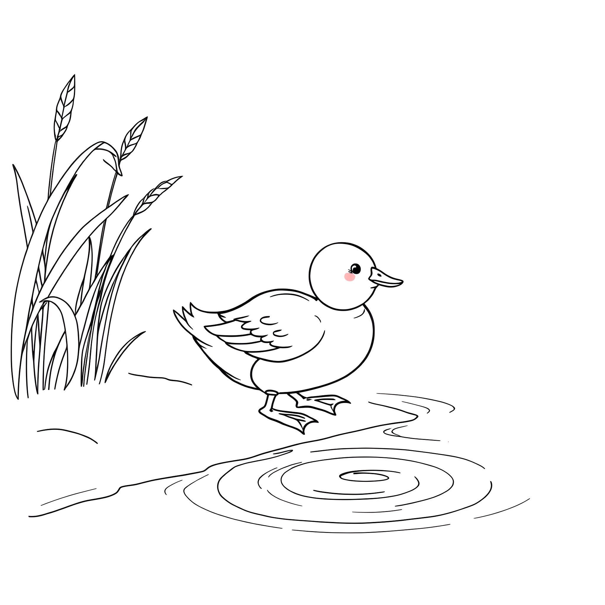 Duck swimming in the pond Coloring Page (free black-and-white line drawing printable PDF for all, from beginners to advanced learners, including children, teens, adults, and seniors)