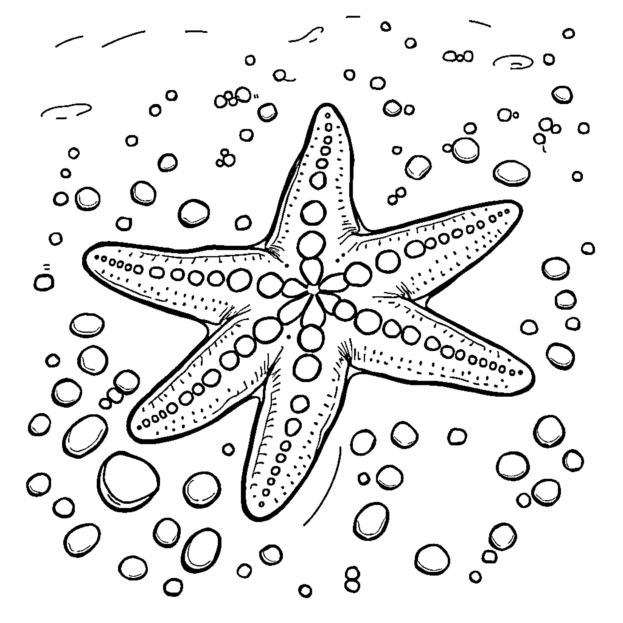 Starfish swimming amongst bubbles Coloring Page (free black-and-white line drawing printable PDF for all, from beginners to advanced learners, including children, teens, adults, and seniors)