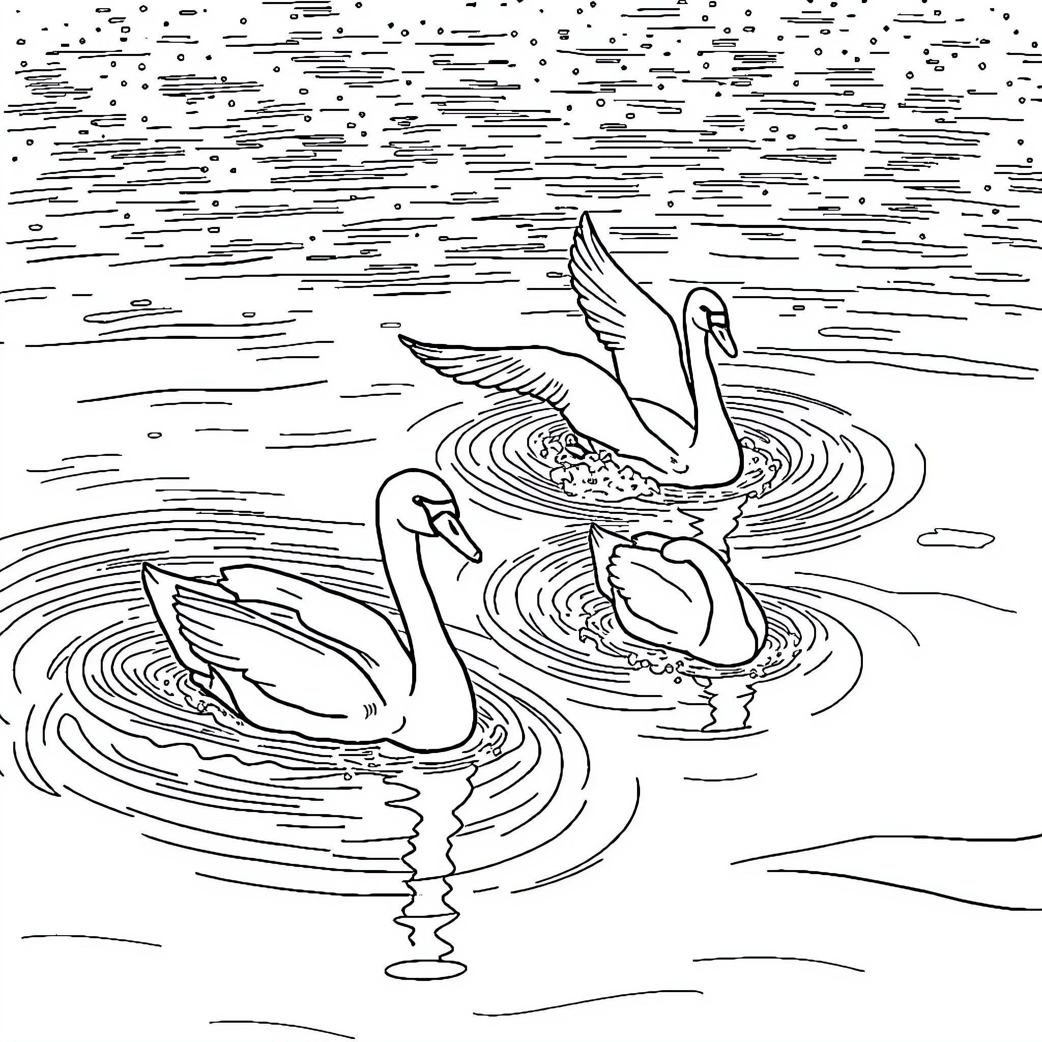 Swan Pair Swimming Gracefully in Rippled Water Coloring Page (free black-and-white line drawing printable PDF for all, from beginners to advanced learners, including children, teens, adults, and seniors)