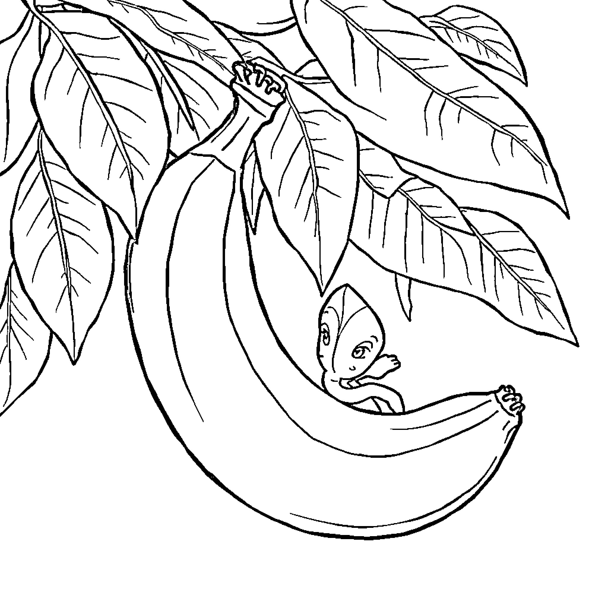 Banana leaves with playful creature Coloring Page (free black-and-white line drawing printable PDF for all, from beginners to advanced learners, including children, teens, adults, and seniors)