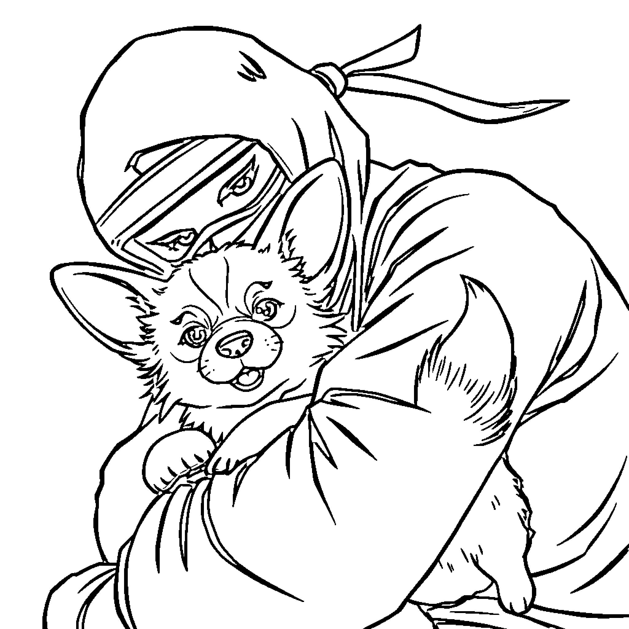 Ninja cat in ninja outfit playing with a ball Coloring Page (free black-and-white line drawing printable PDF for all, from beginners to advanced learners, including children, teens, adults, and seniors)