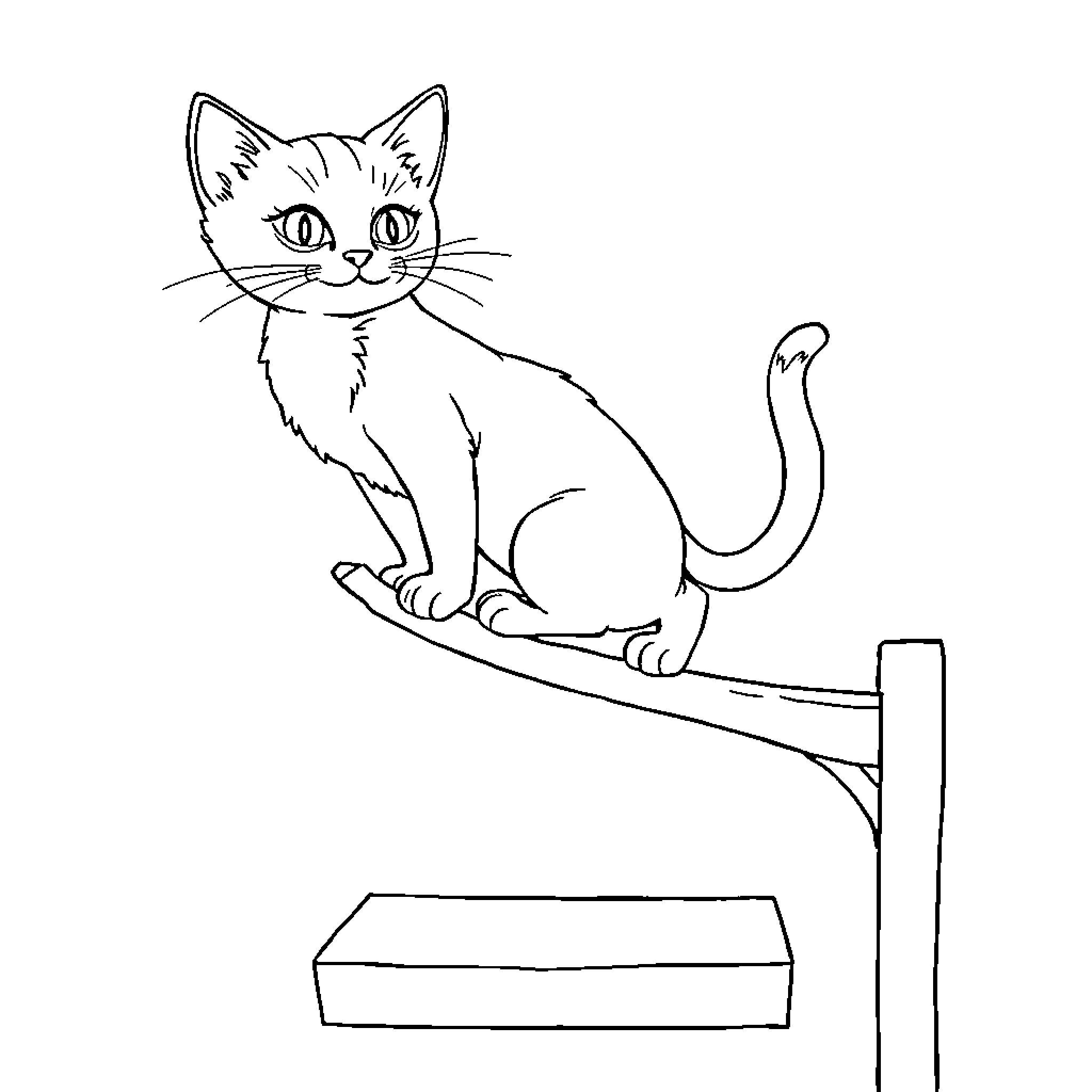 Cat perched on a shelf Coloring Page (free black-and-white line drawing printable PDF for all, from beginners to advanced learners, including children, teens, adults, and seniors)