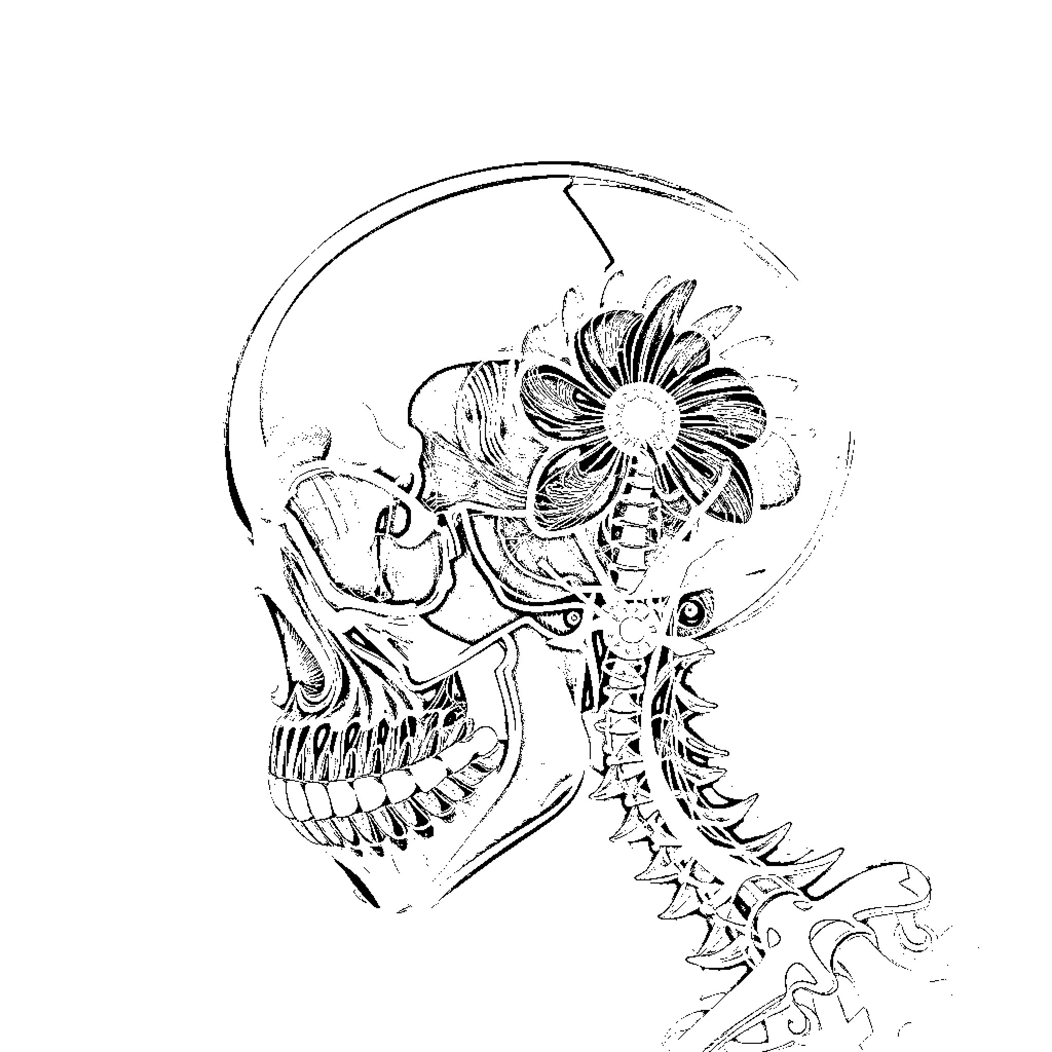 Xray image of detailed skull with floral design Coloring Page (free black-and-white line drawing printable PDF for all, from beginners to advanced learners, including children, teens, adults, and seniors)