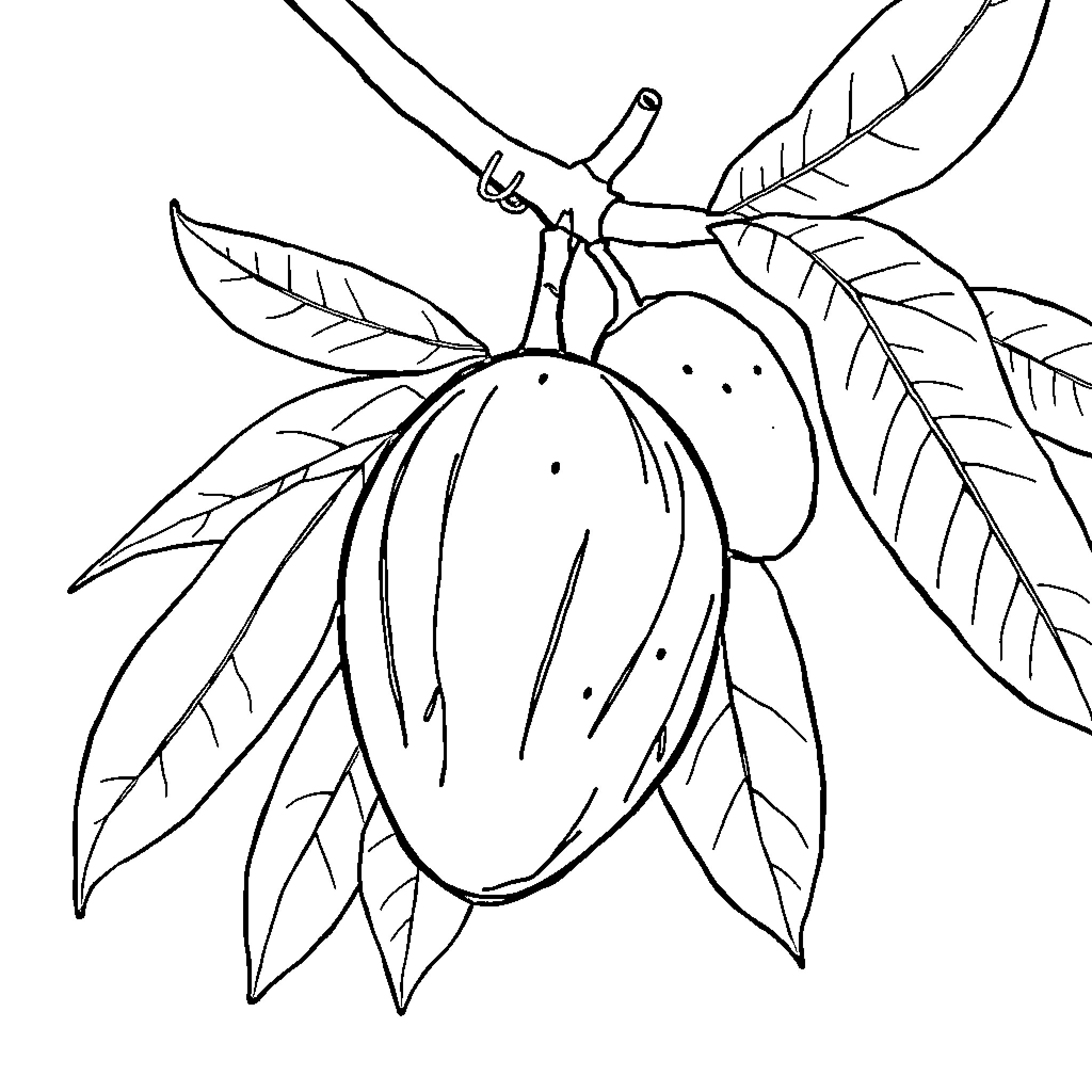 Cocomelo showcases tropical fruit and foliage Coloring Page (free black-and-white line drawing printable PDF for all, from beginners to advanced learners, including children, teens, adults, and seniors)