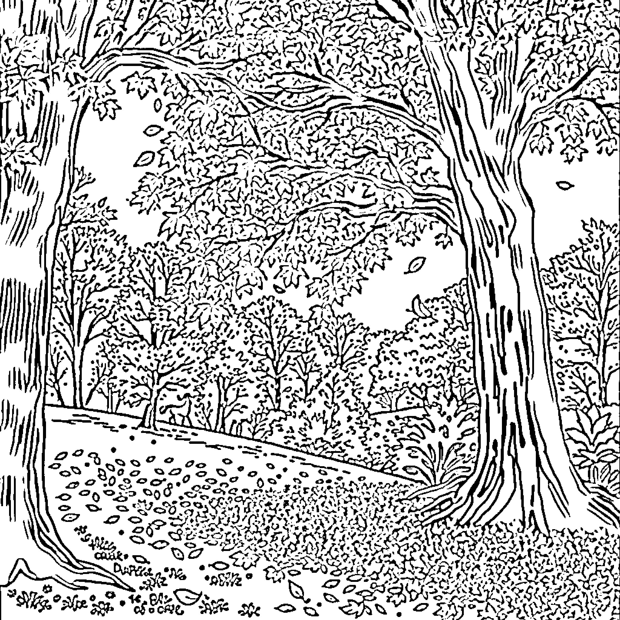 Autumn Serenity in the Woodland Coloring Page (free black-and-white line drawing printable PDF for all, from beginners to advanced learners, including children, teens, adults, and seniors)