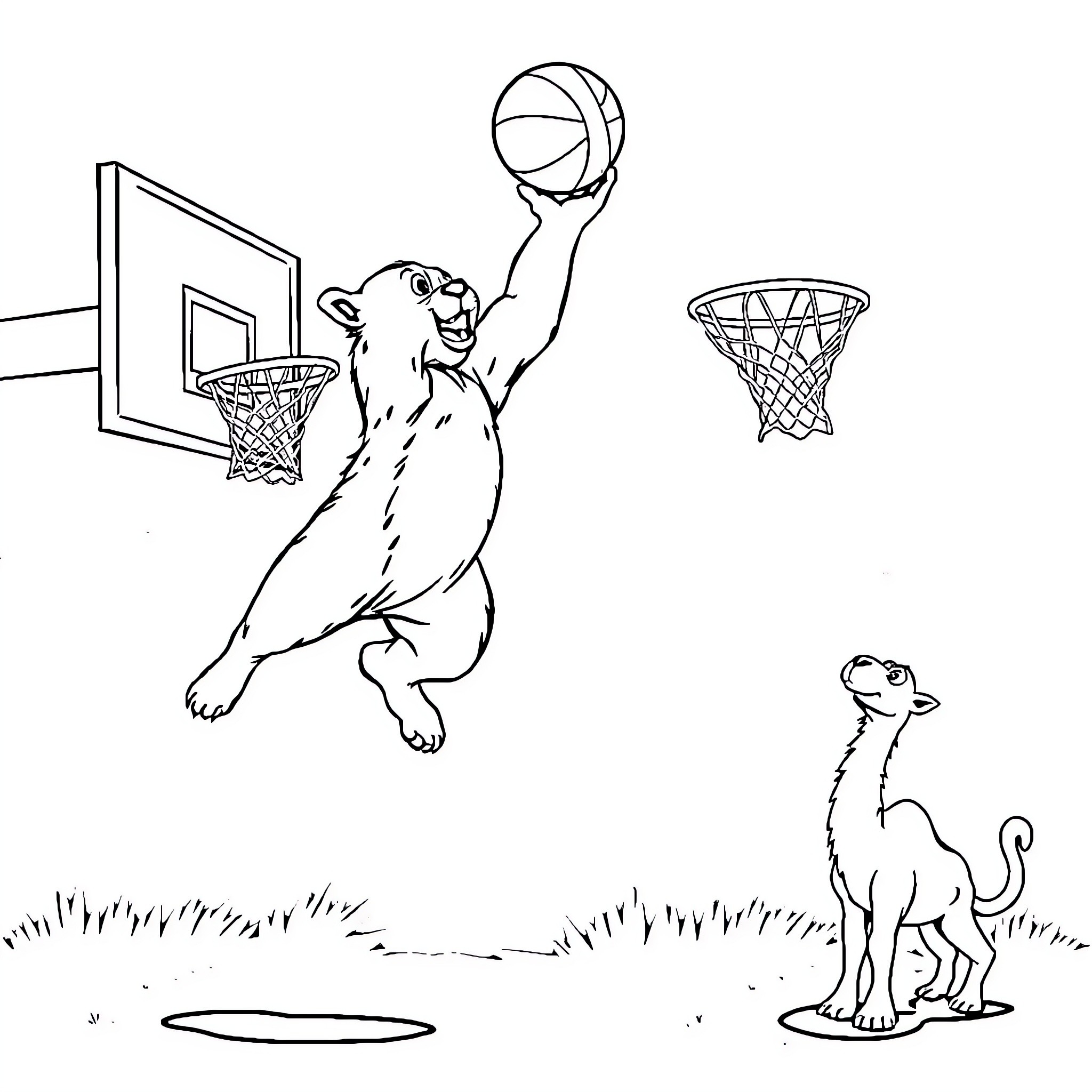 Bearcat slam dunking basketball with curious companion Coloring Page (free black-and-white line drawing printable PDF for all, from beginners to advanced learners, including children, teens, adults, and seniors)