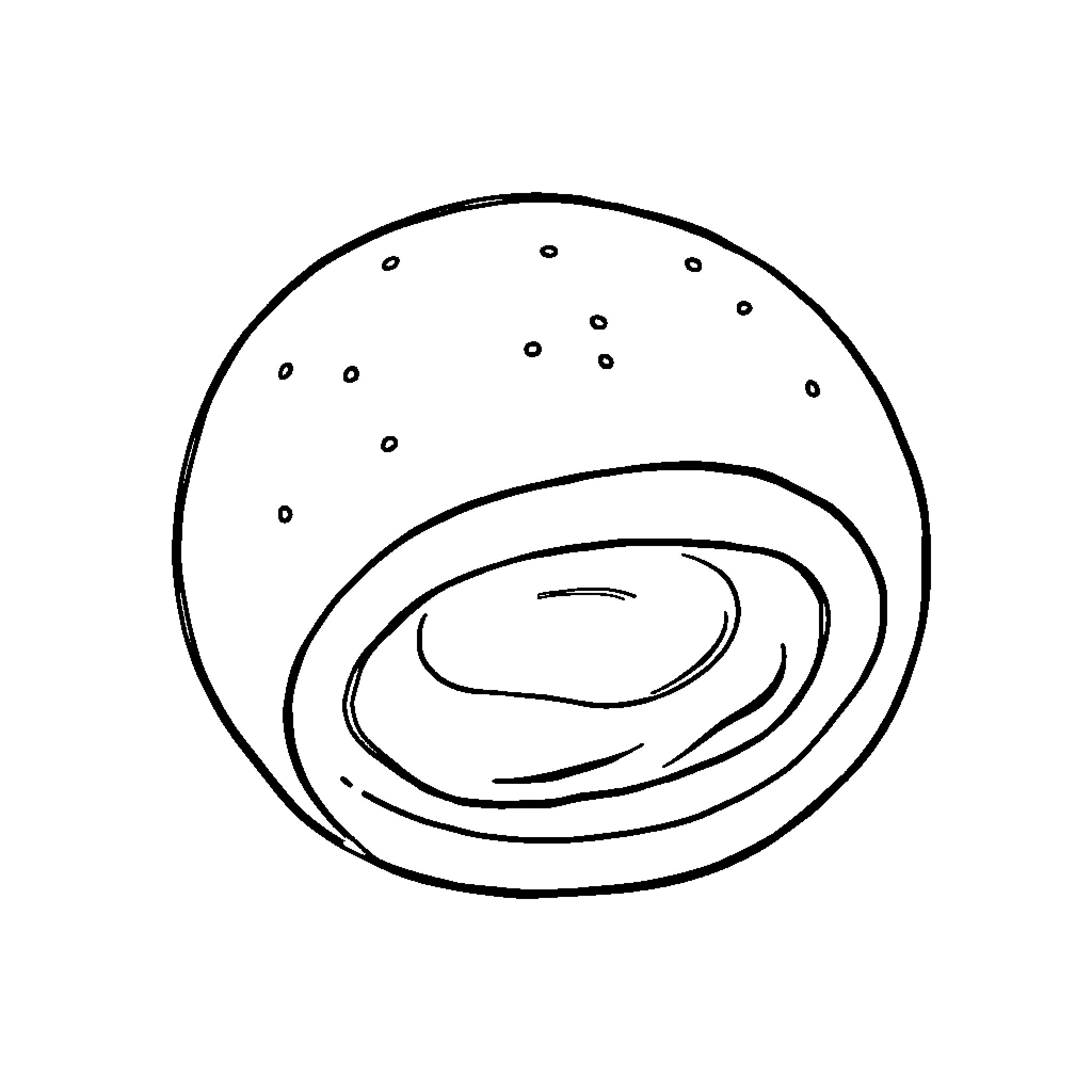 Anpan with delicate swirling design Coloring Page (free black-and-white line drawing printable PDF for all, from beginners to advanced learners, including children, teens, adults, and seniors)
