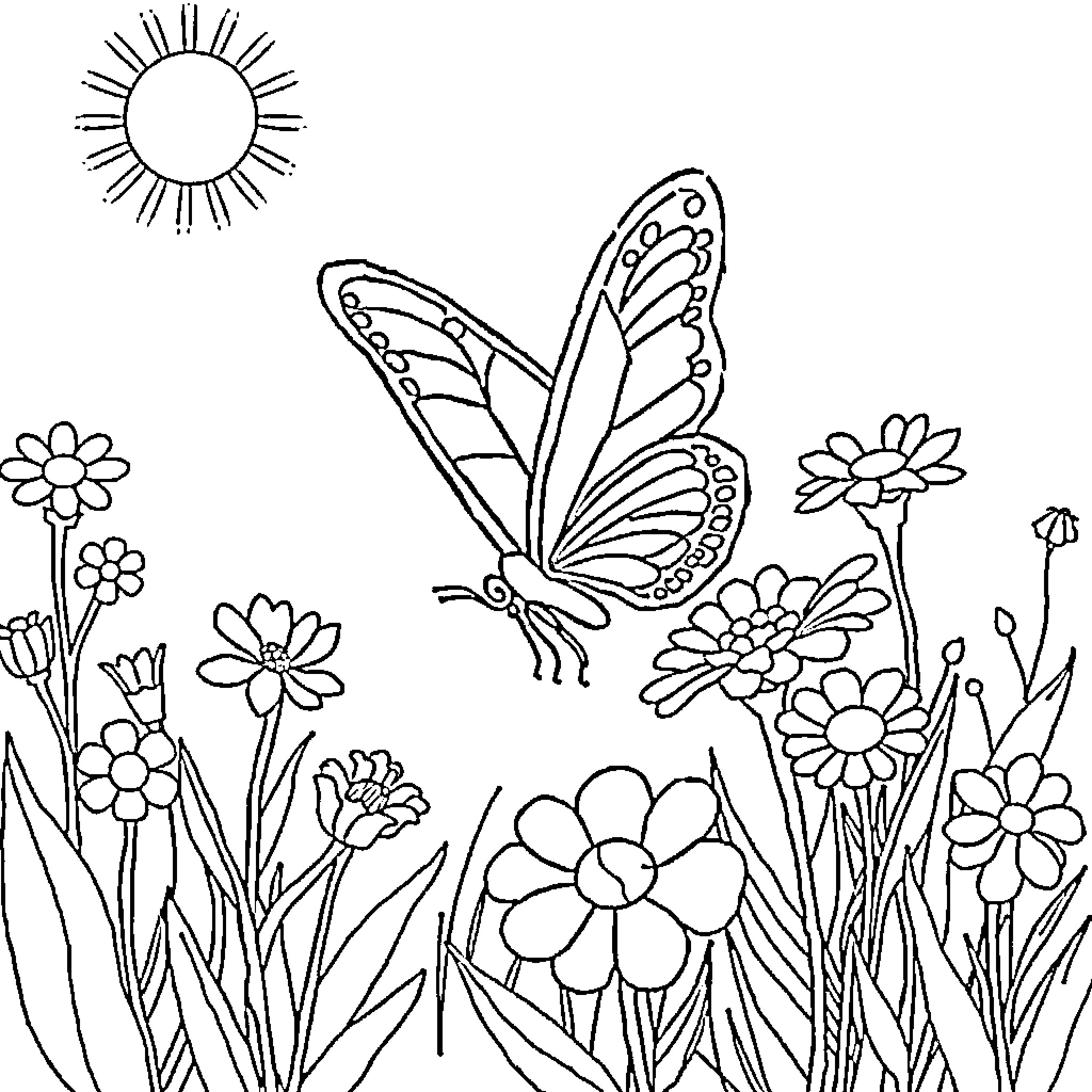 Butterfly amidst colorful flowers in the sun Coloring Page (free black-and-white line drawing printable PDF for all, from beginners to advanced learners, including children, teens, adults, and seniors)
