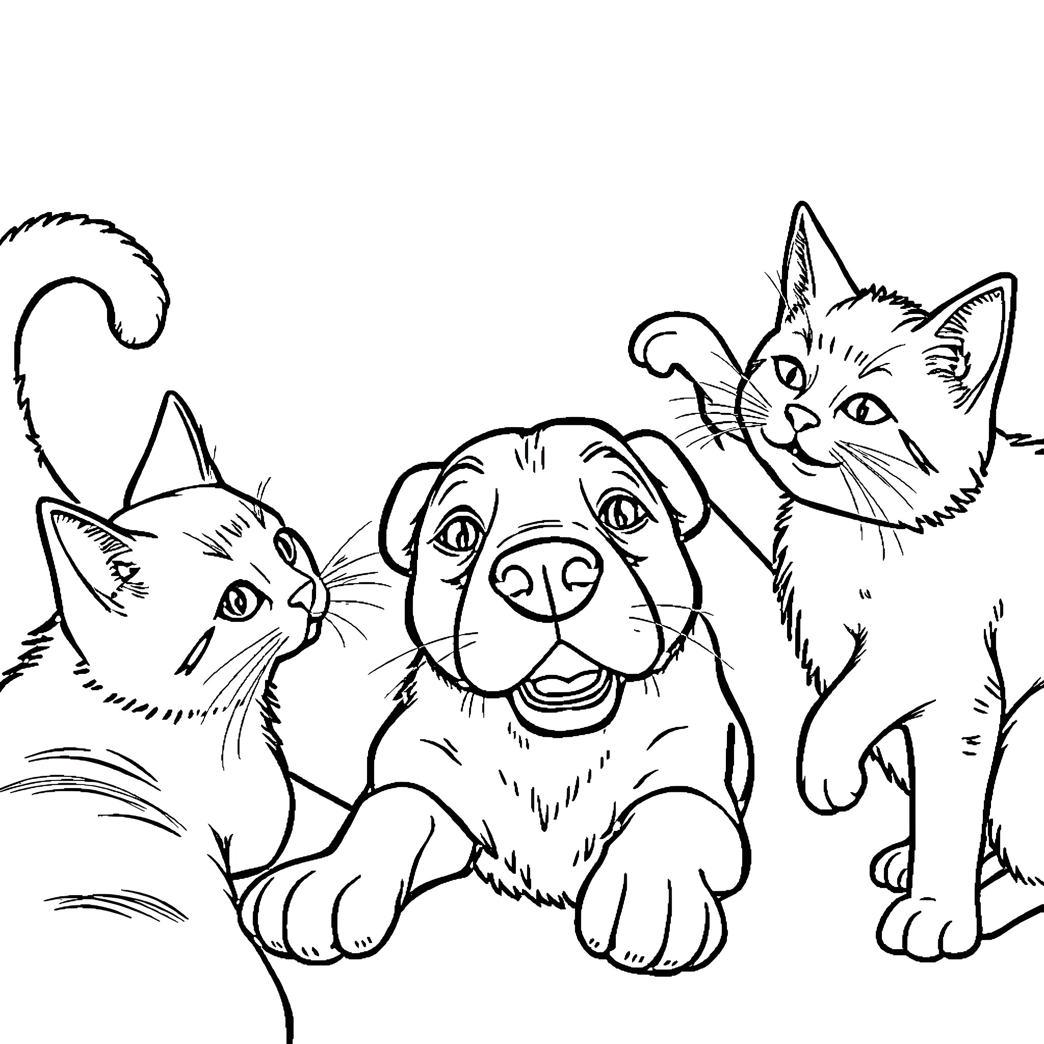 Cat and Dog Companions Coloring Page (free black-and-white line drawing printable PDF for all, from beginners to advanced learners, including children, teens, adults, and seniors)