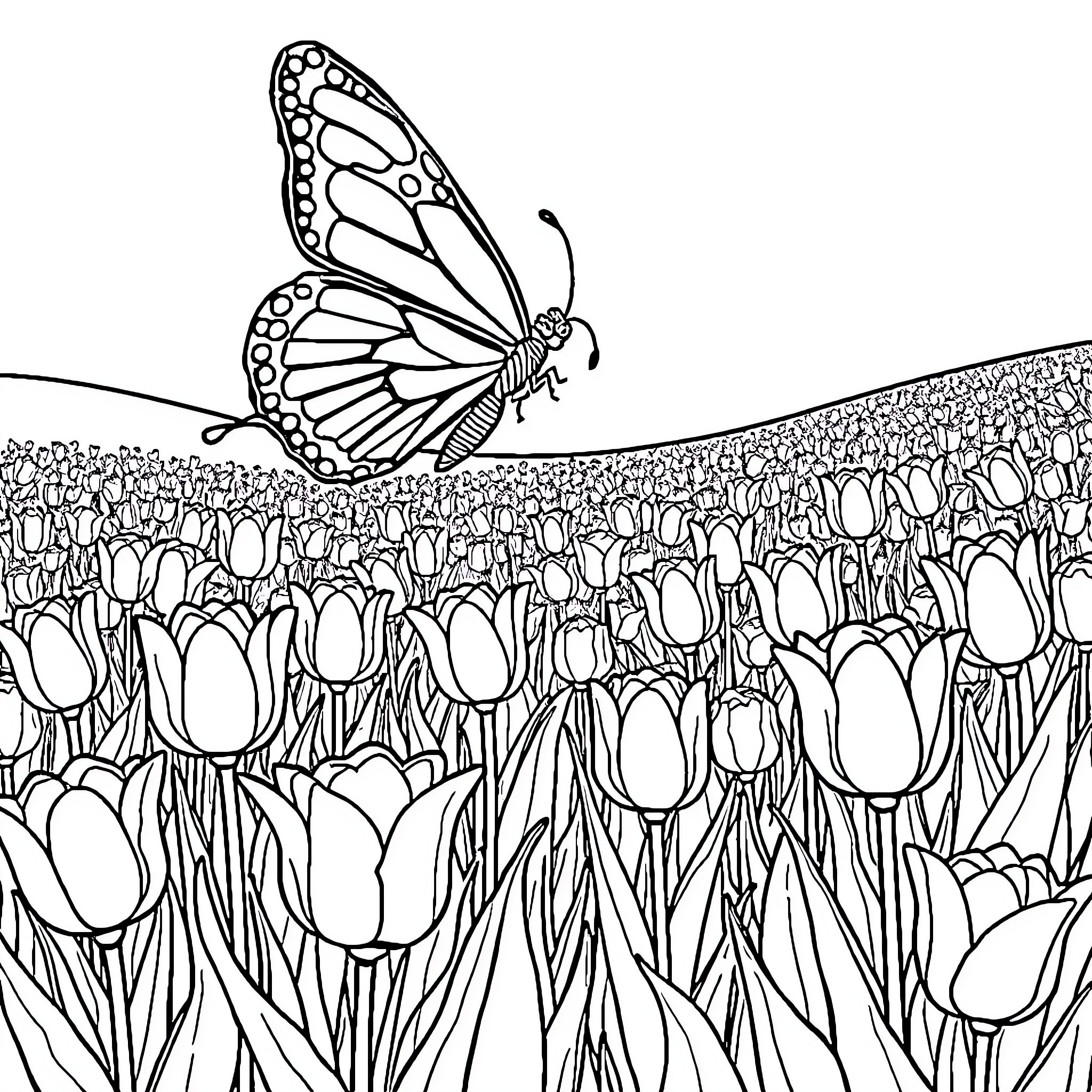 Butterfly resting among tulip field Coloring Page (free black-and-white line drawing printable PDF for all, from beginners to advanced learners, including children, teens, adults, and seniors)