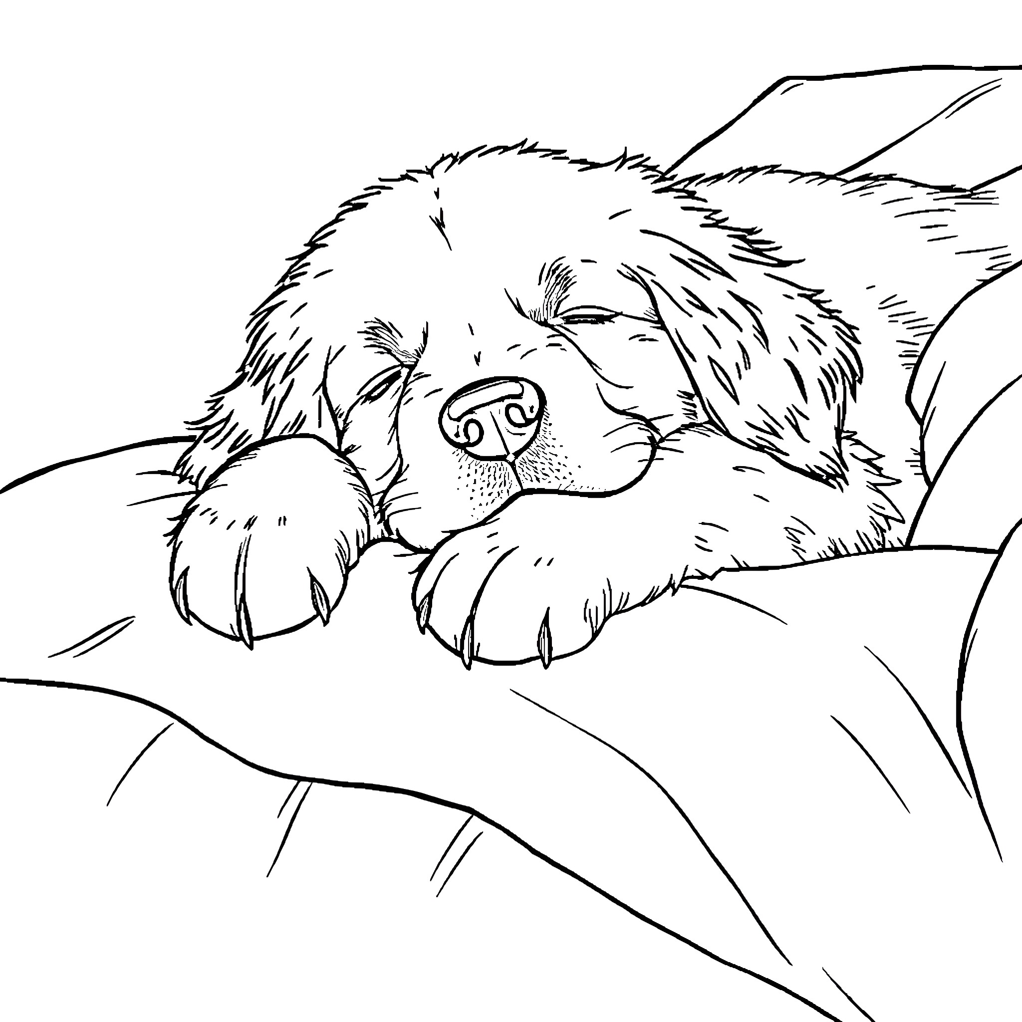 Golden Retriever resting peacefully on a cozy bed Coloring Page (free black-and-white line drawing printable PDF for all, from beginners to advanced learners, including children, teens, adults, and seniors)