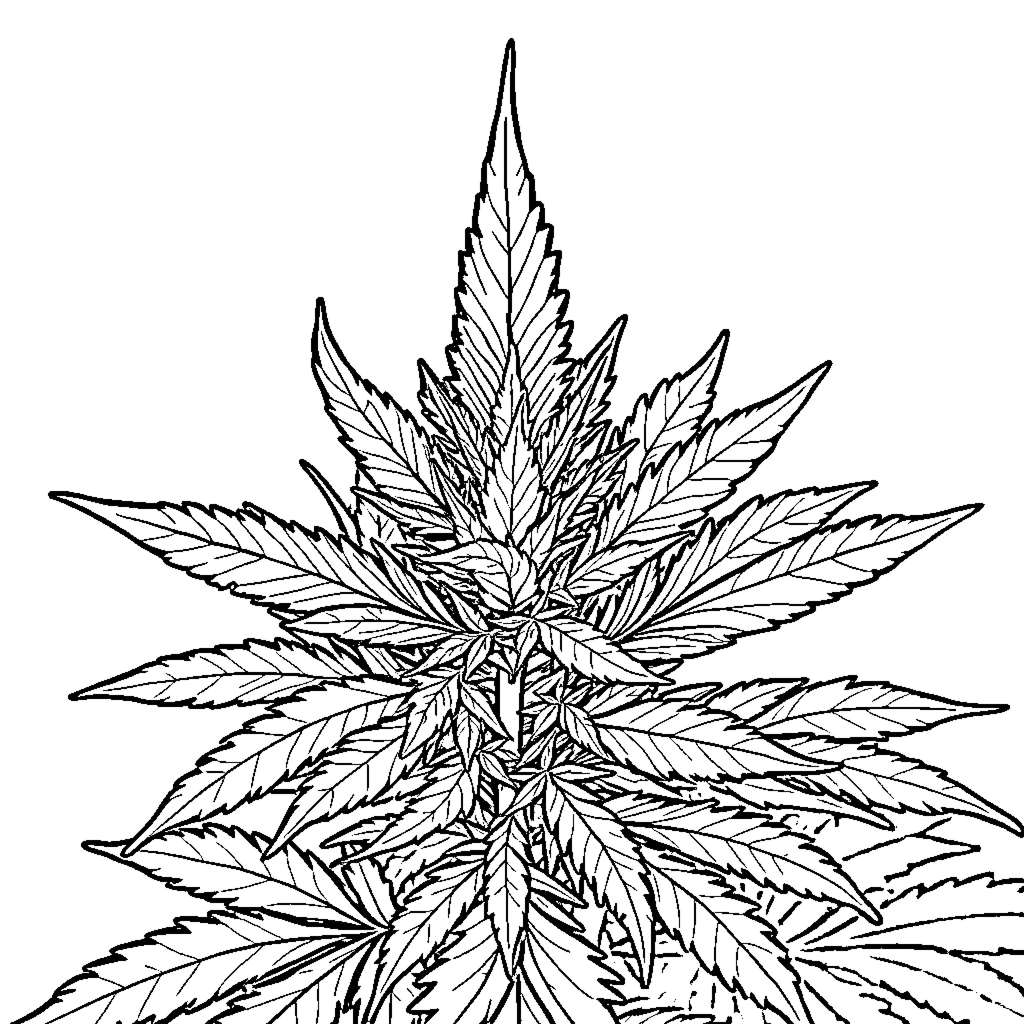 Cannabis Leaf Artistic Rendering Coloring Page (free black-and-white line drawing printable PDF for all, from beginners to advanced learners, including children, teens, adults, and seniors)