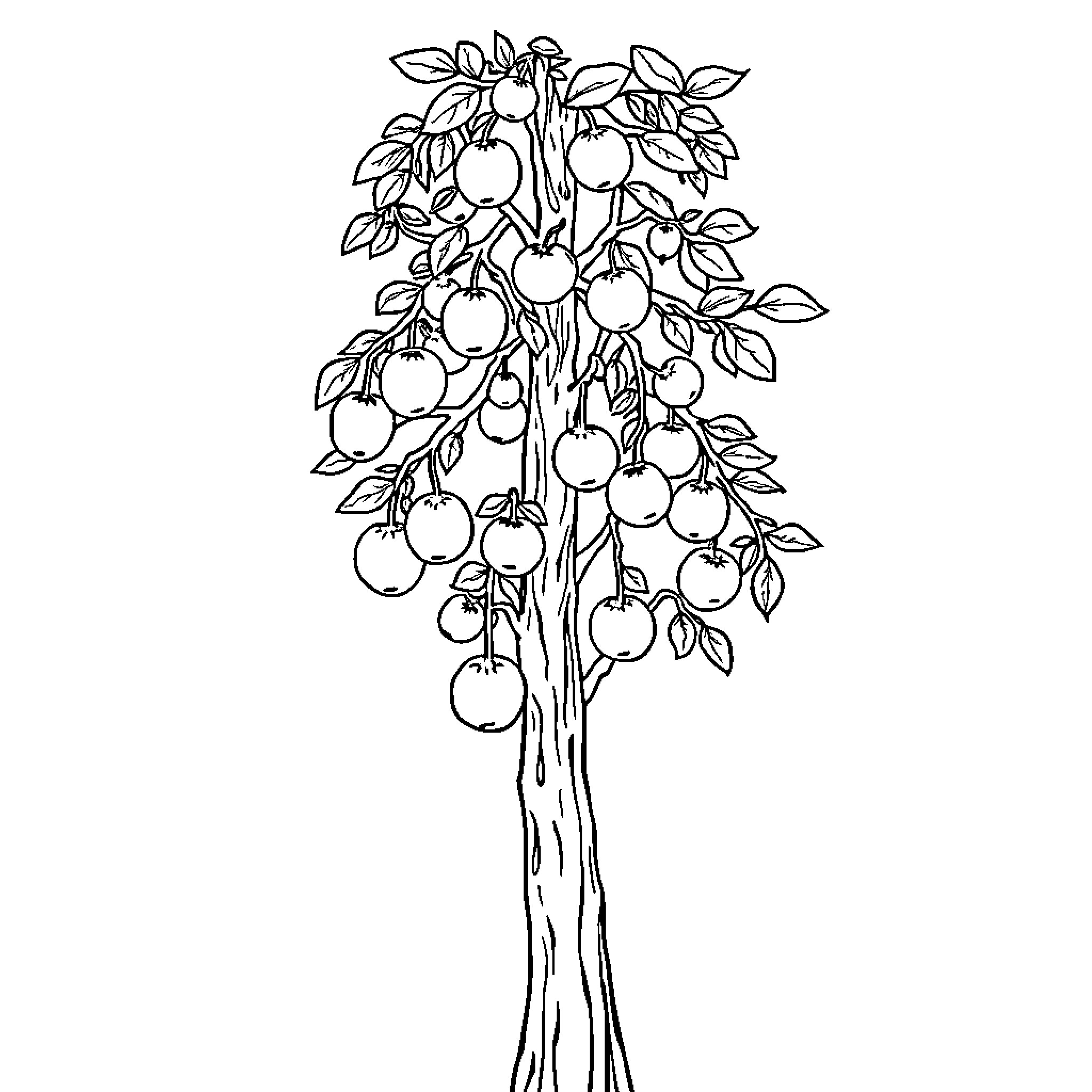 Tree laden with bountiful fruit Coloring Page (free black-and-white line drawing printable PDF for all, from beginners to advanced learners, including children, teens, adults, and seniors)