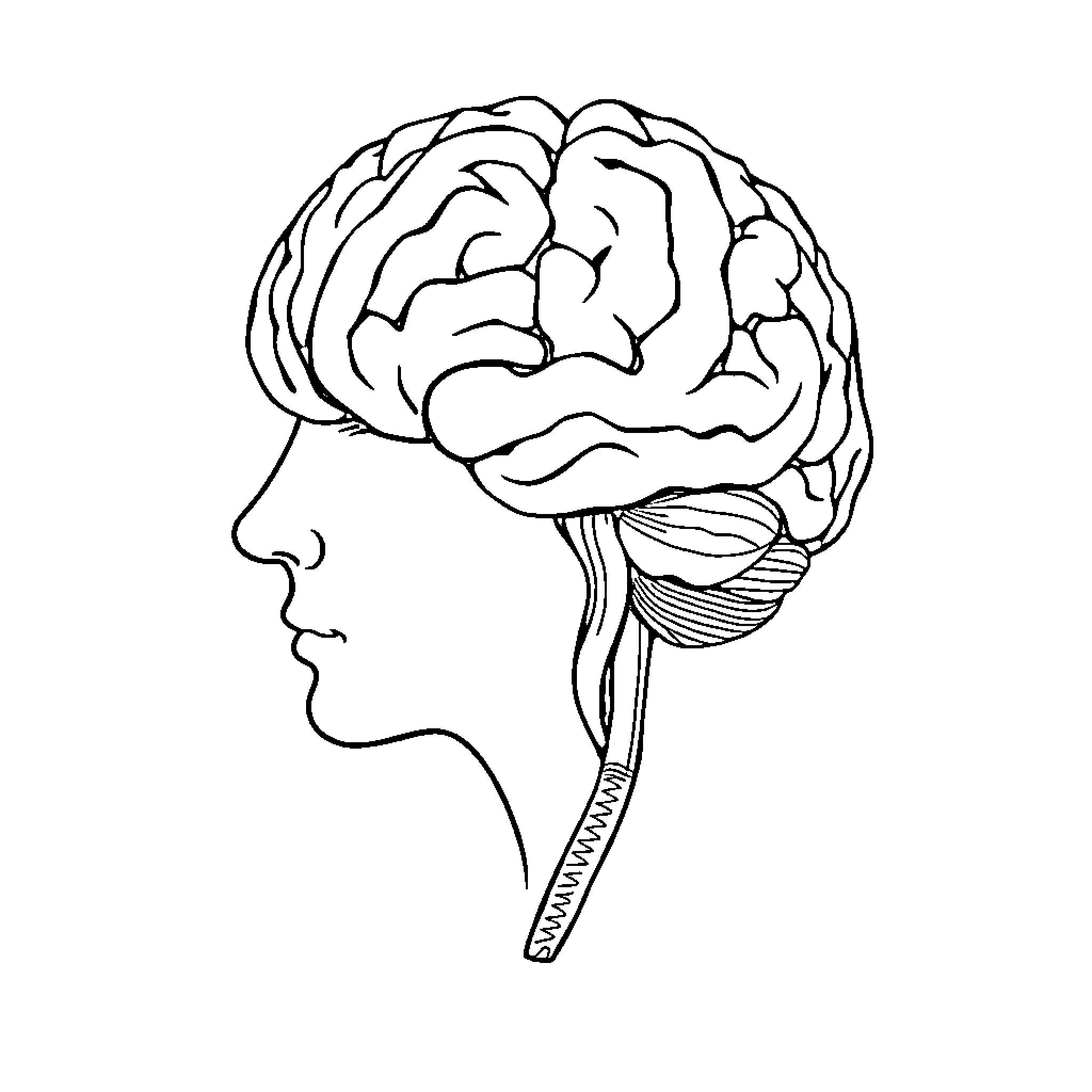 Brainrot: Tangled Thoughts in Mind's Silhouette Coloring Page (free black-and-white line drawing printable PDF for all, from beginners to advanced learners, including children, teens, adults, and seniors)