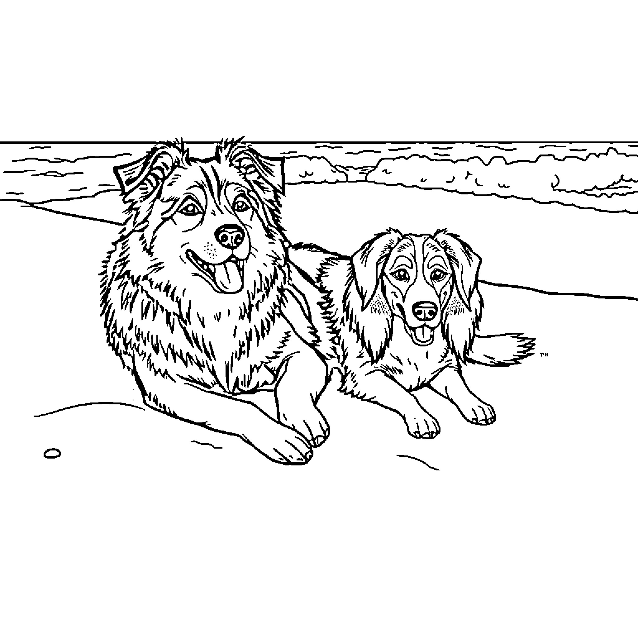 Dog companions playing on the beach Coloring Page (free black-and-white line drawing printable PDF for all, from beginners to advanced learners, including children, teens, adults, and seniors)