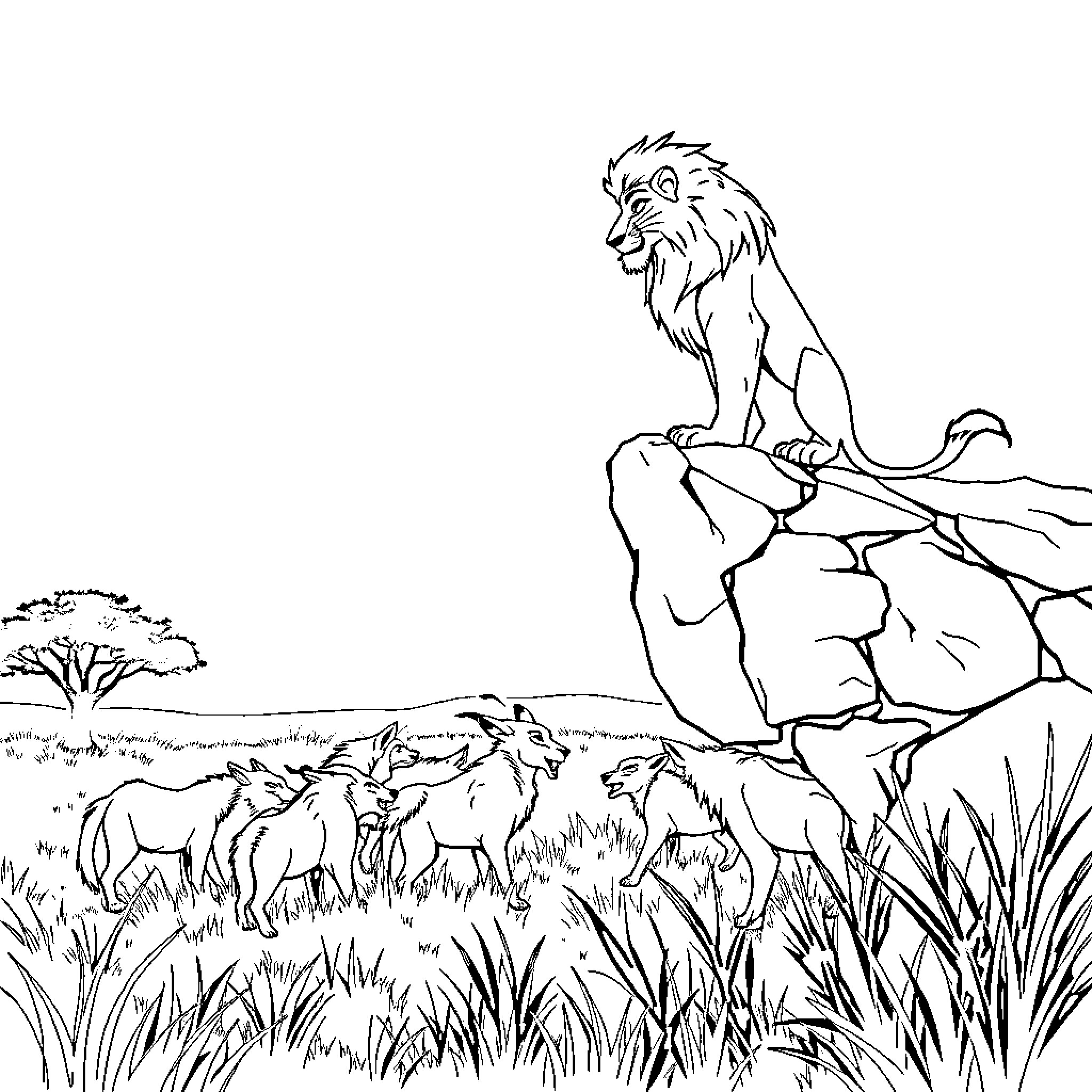 Lion standing proudly on a rocky ledge Coloring Page (free black-and-white line drawing printable PDF for all, from beginners to advanced learners, including children, teens, adults, and seniors)