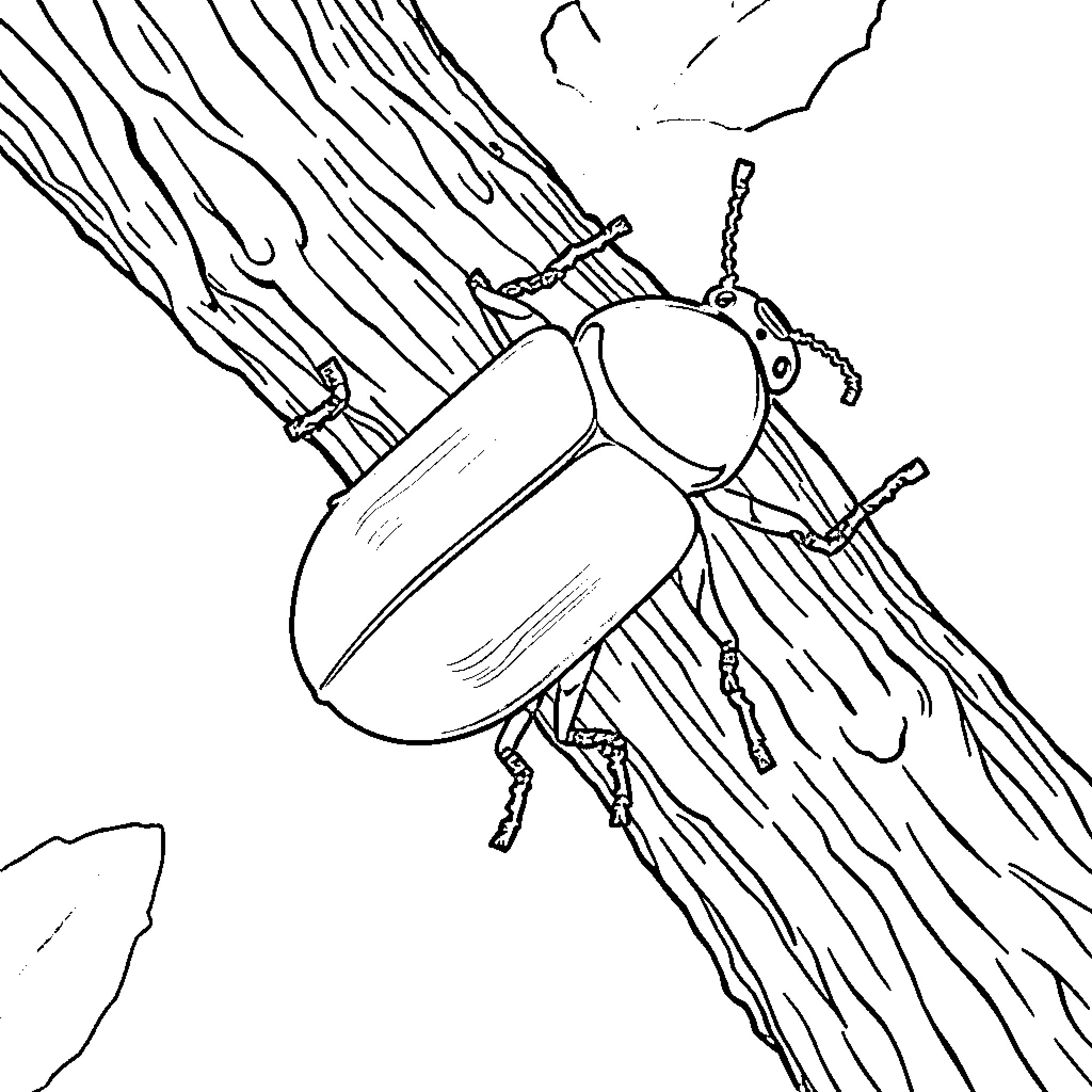 Emerald Ash Borer insect on tree bark Coloring Page (free black-and-white line drawing printable PDF for all, from beginners to advanced learners, including children, teens, adults, and seniors)