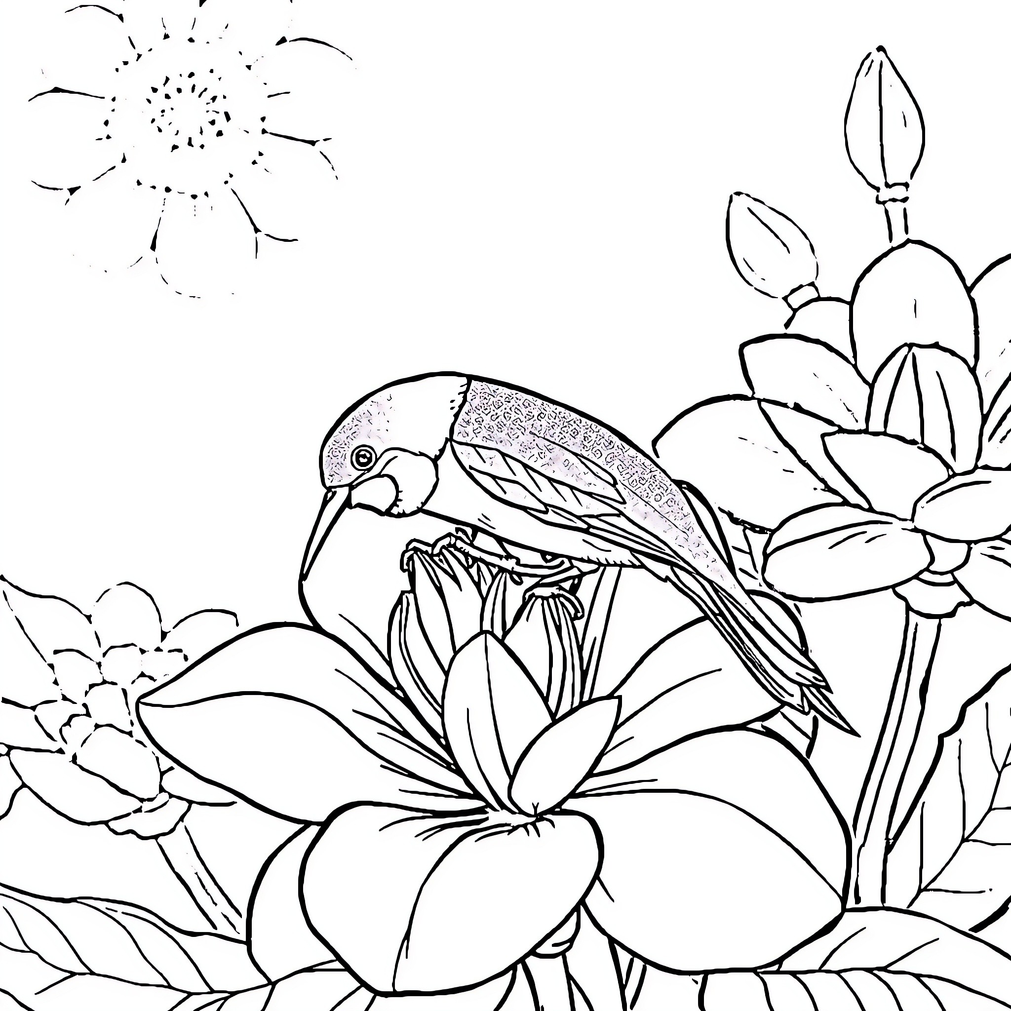 Charançon perching on vibrant flowers Coloring Page (free black-and-white line drawing printable PDF for all, from beginners to advanced learners, including children, teens, adults, and seniors)