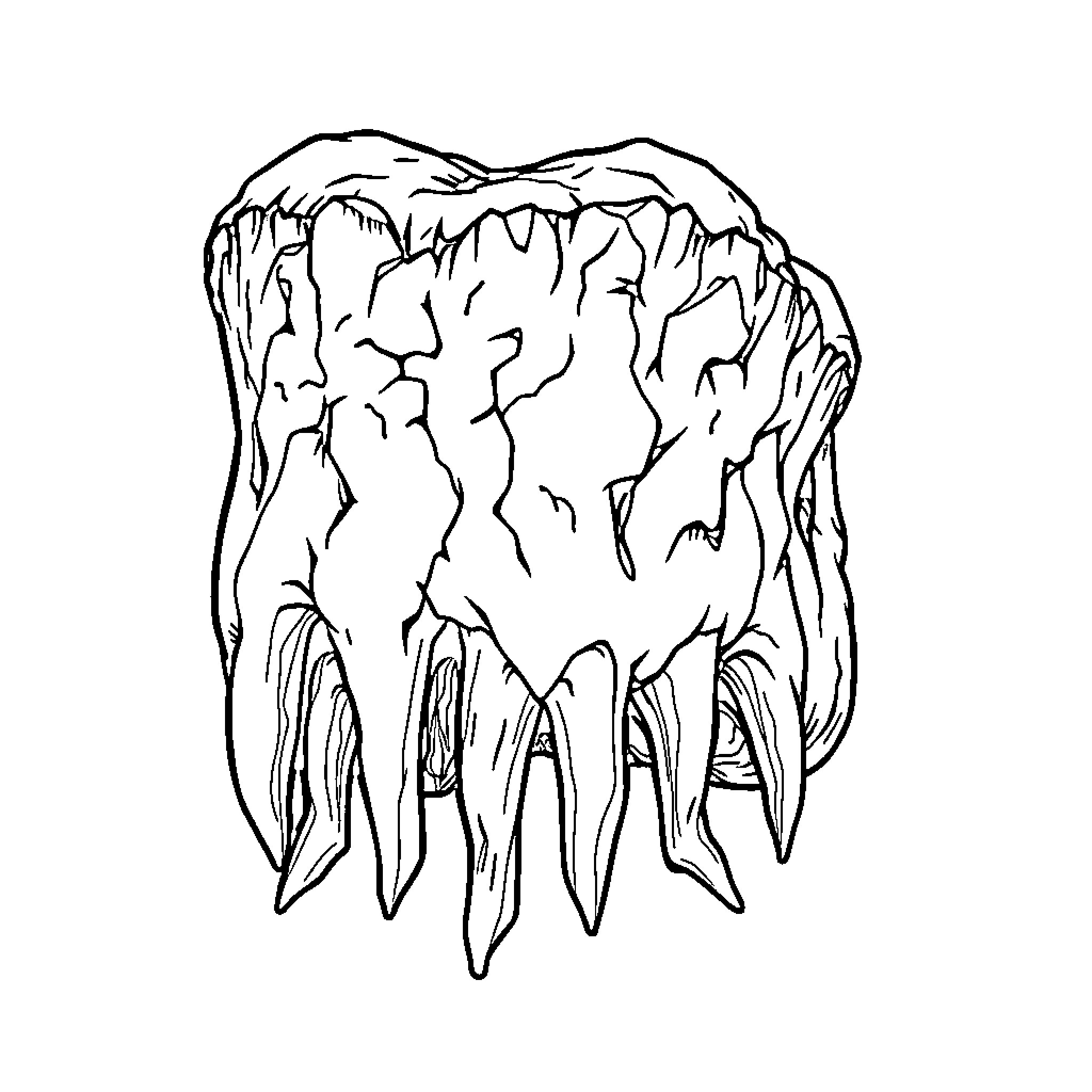 Molar Teeth Exposed in Detailed Illustration Coloring Page (free black-and-white line drawing printable PDF for all, from beginners to advanced learners, including children, teens, adults, and seniors)