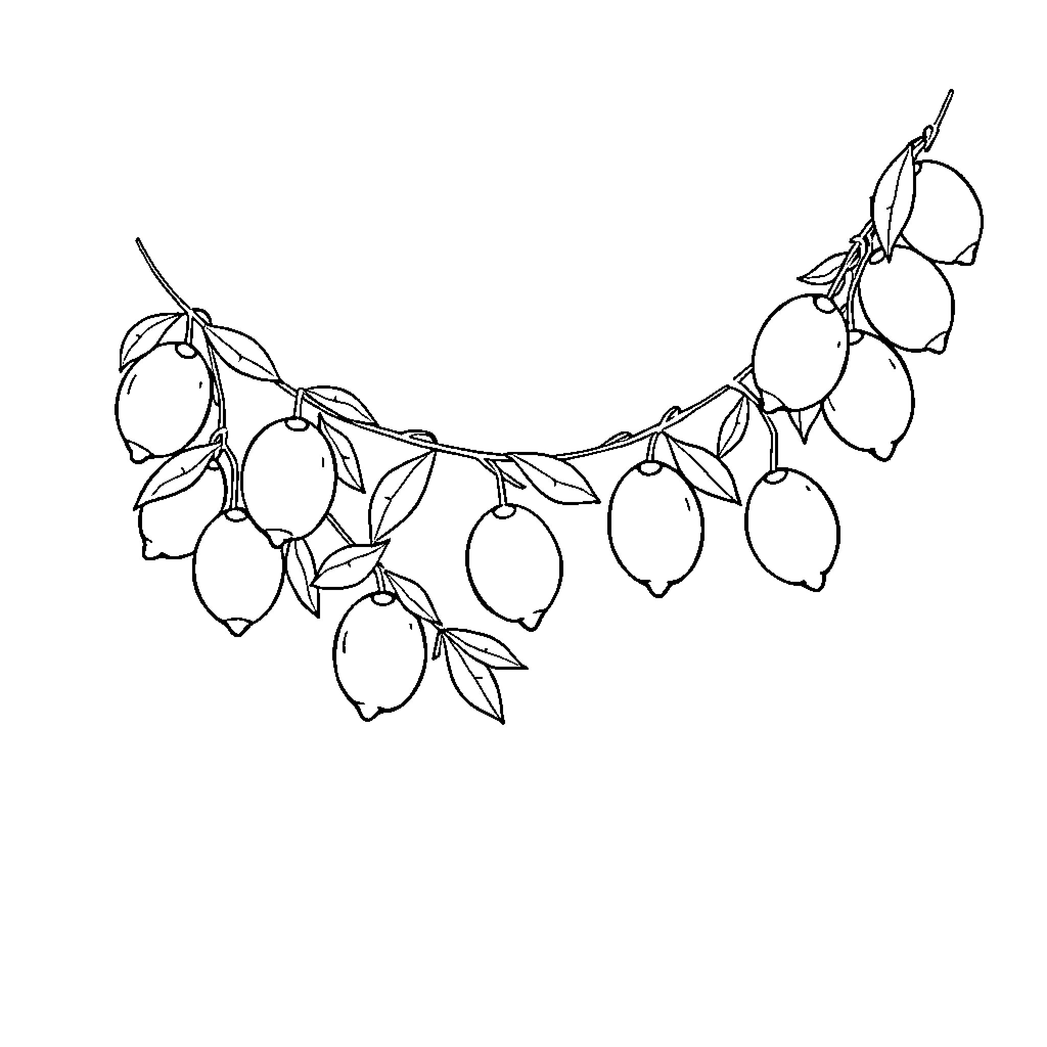 Lemon Branch with Hanging Fruit Coloring Page (free black-and-white line drawing printable PDF for all, from beginners to advanced learners, including children, teens, adults, and seniors)