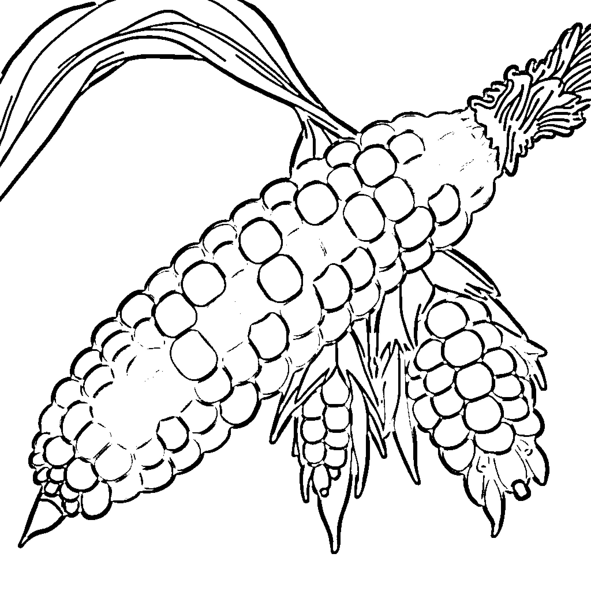 Corn Crop Ready for Harvest Coloring Page (free black-and-white line drawing printable PDF for all, from beginners to advanced learners, including children, teens, adults, and seniors)