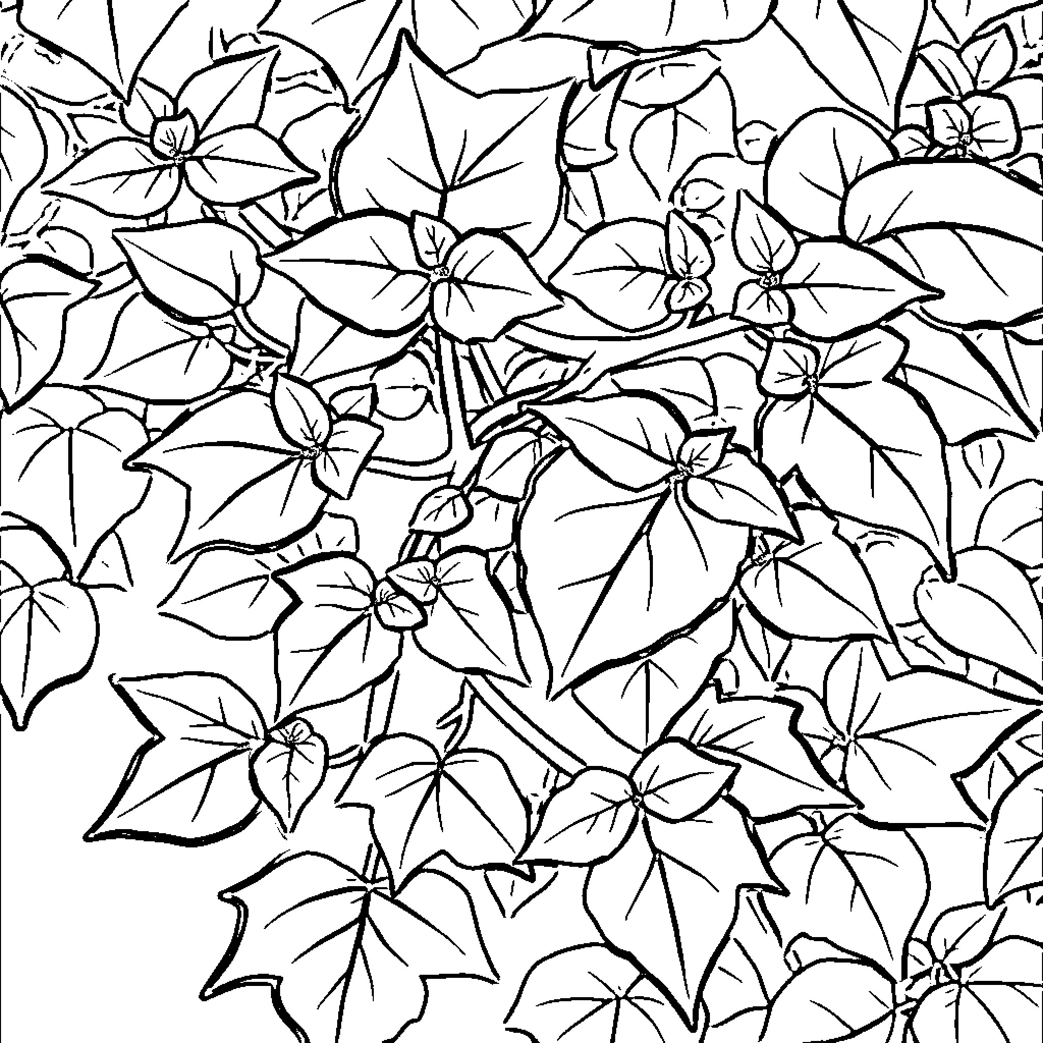 Poison Ivy's Floral Embrace Coloring Page (free black-and-white line drawing printable PDF for all, from beginners to advanced learners, including children, teens, adults, and seniors)