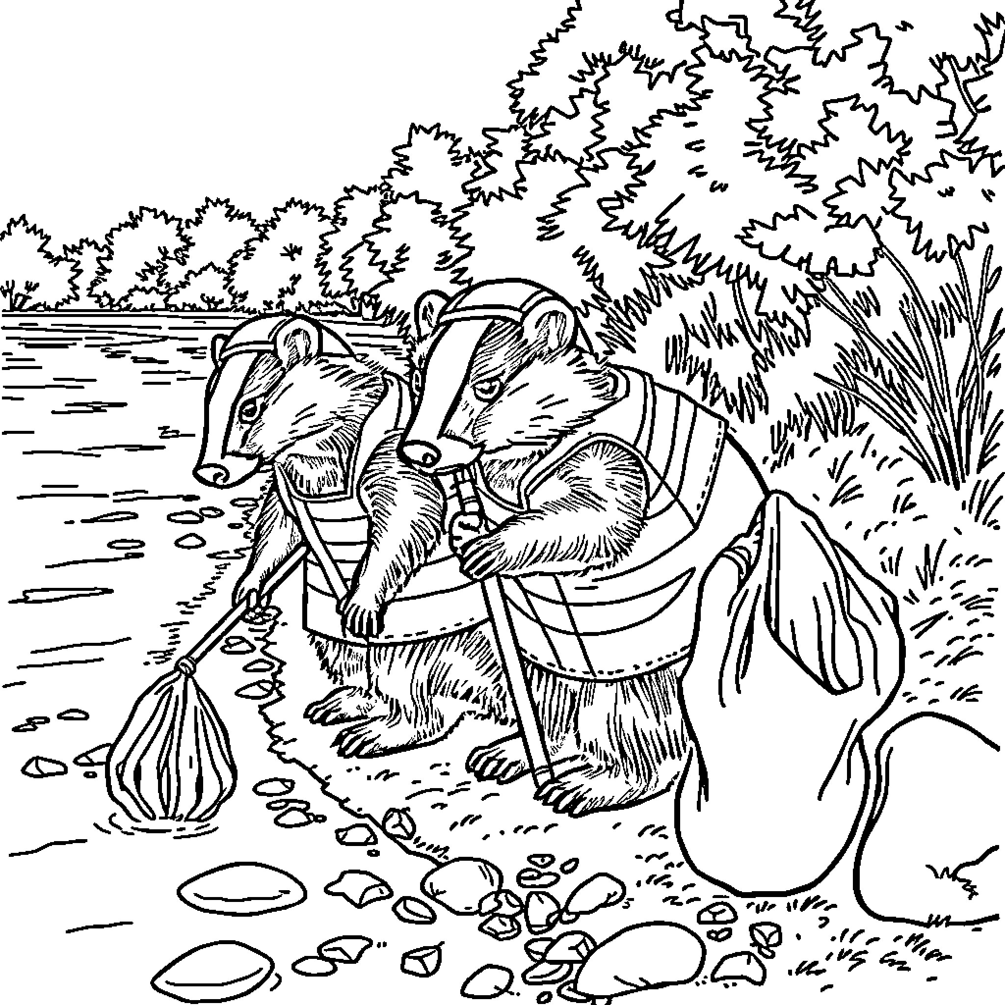 Badger foraging along the riverbank Coloring Page (free black-and-white line drawing printable PDF for all, from beginners to advanced learners, including children, teens, adults, and seniors)