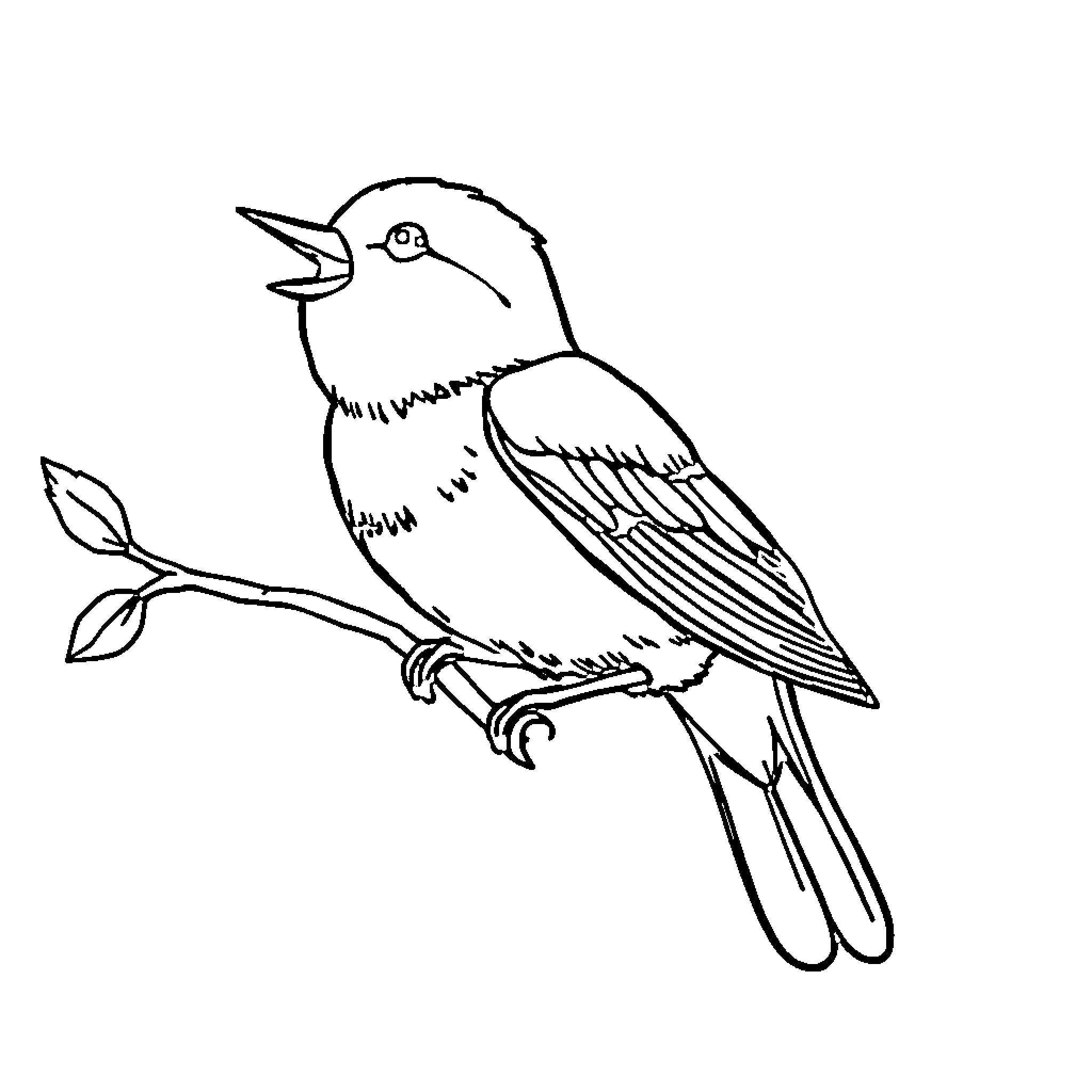 Tweety Bird perched on a branch Coloring Page (free black-and-white line drawing printable PDF for all, from beginners to advanced learners, including children, teens, adults, and seniors)