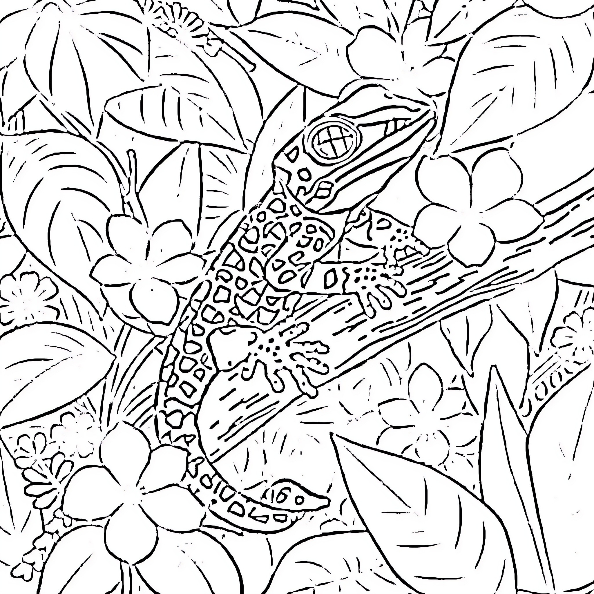 Gecko hidden in tropical foliage Coloring Page (free black-and-white line drawing printable PDF for all, from beginners to advanced learners, including children, teens, adults, and seniors)
