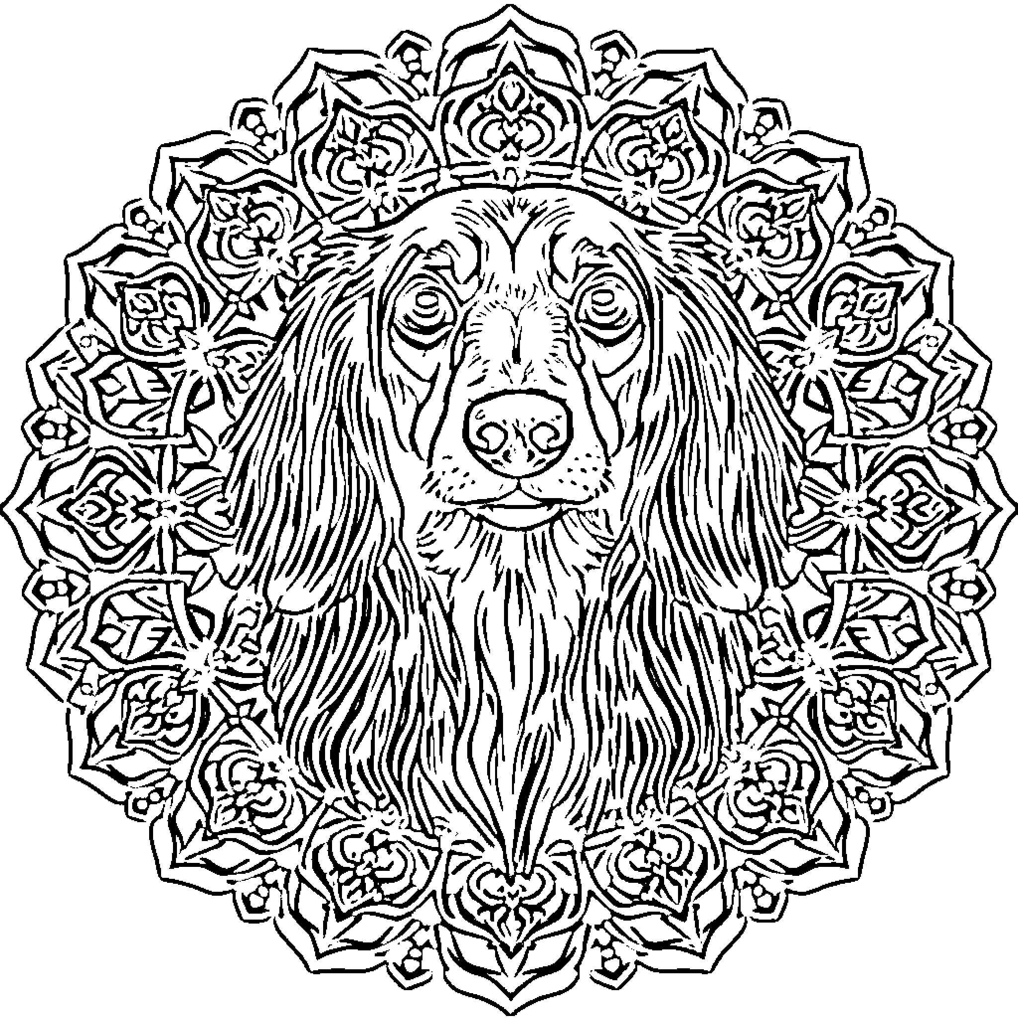 Dachshund surrounded by ornate floral mandala Coloring Page (free black-and-white line drawing printable PDF for all, from beginners to advanced learners, including children, teens, adults, and seniors)